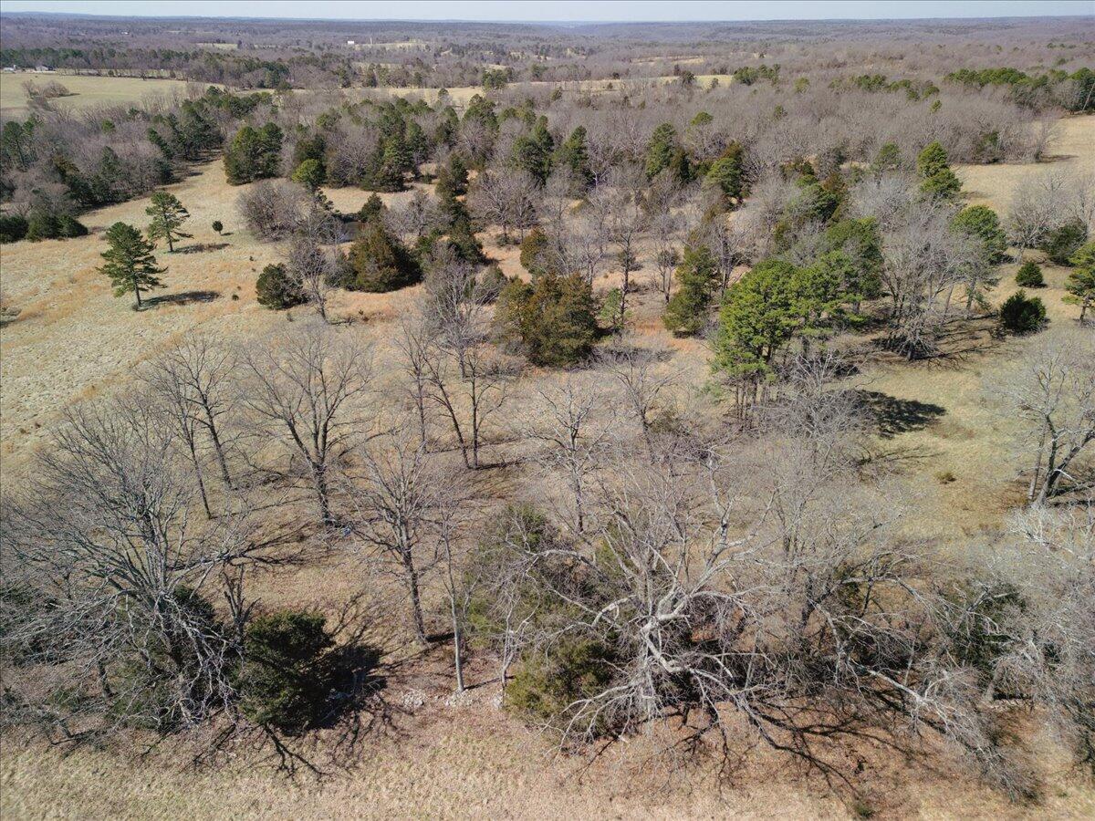 000 County Road 413 Property Photo 42