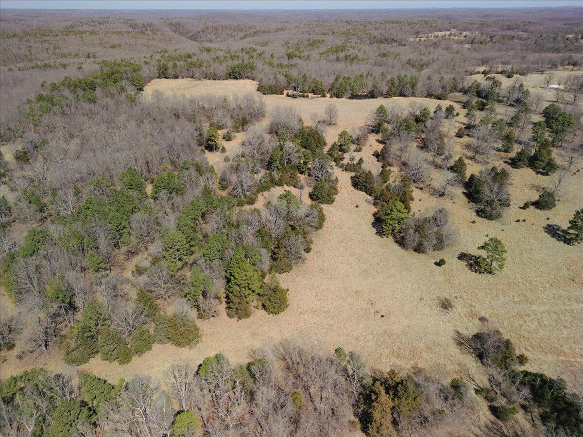 000 County Road 413 Property Photo 43