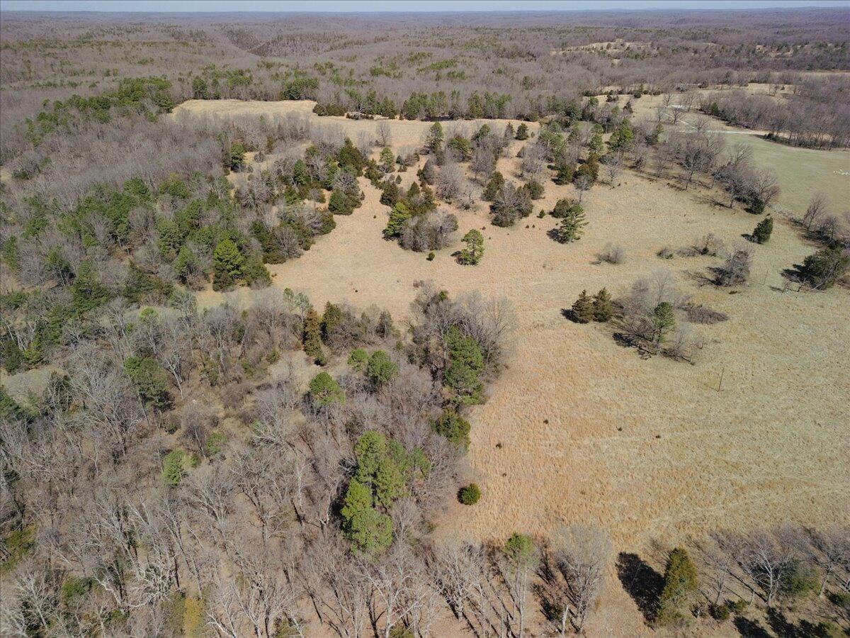 000 County Road 413 Property Photo 44