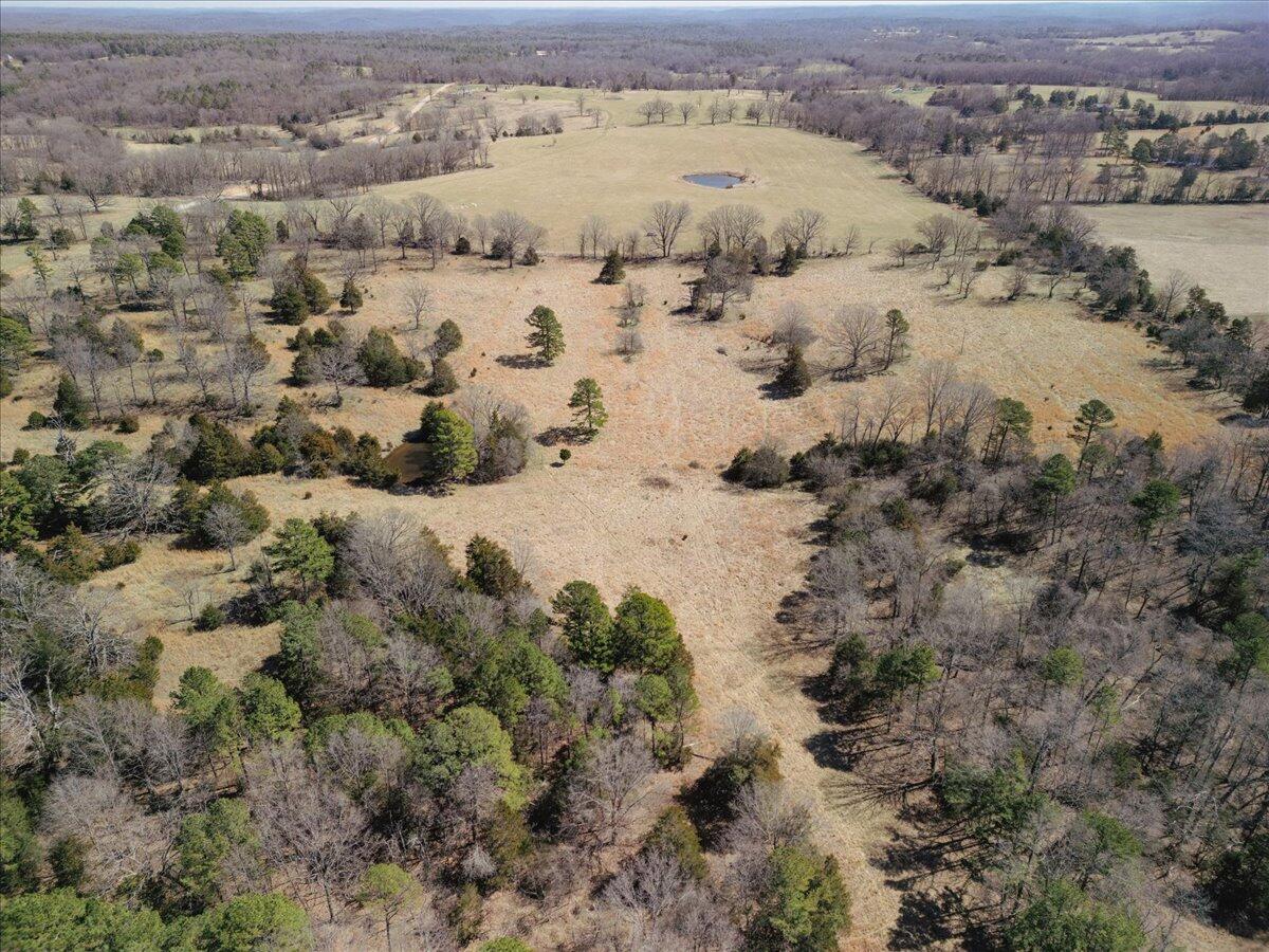 000 County Road 413 Property Photo 45