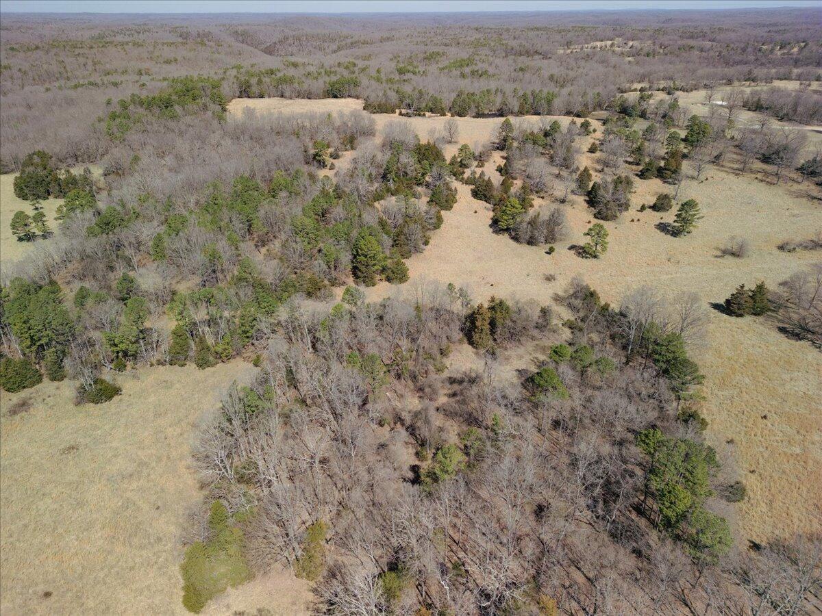 000 County Road 413 Property Photo 46