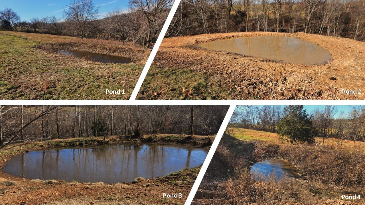 68.80 Acre Low Gap Road Property Photo