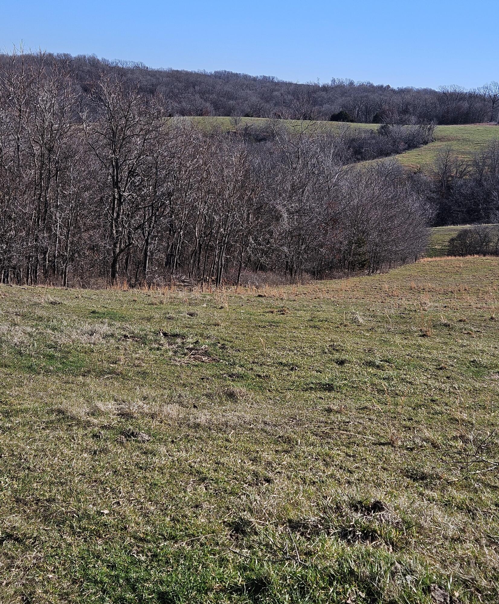 68.80 Acre Low Gap Road Property Photo 6
