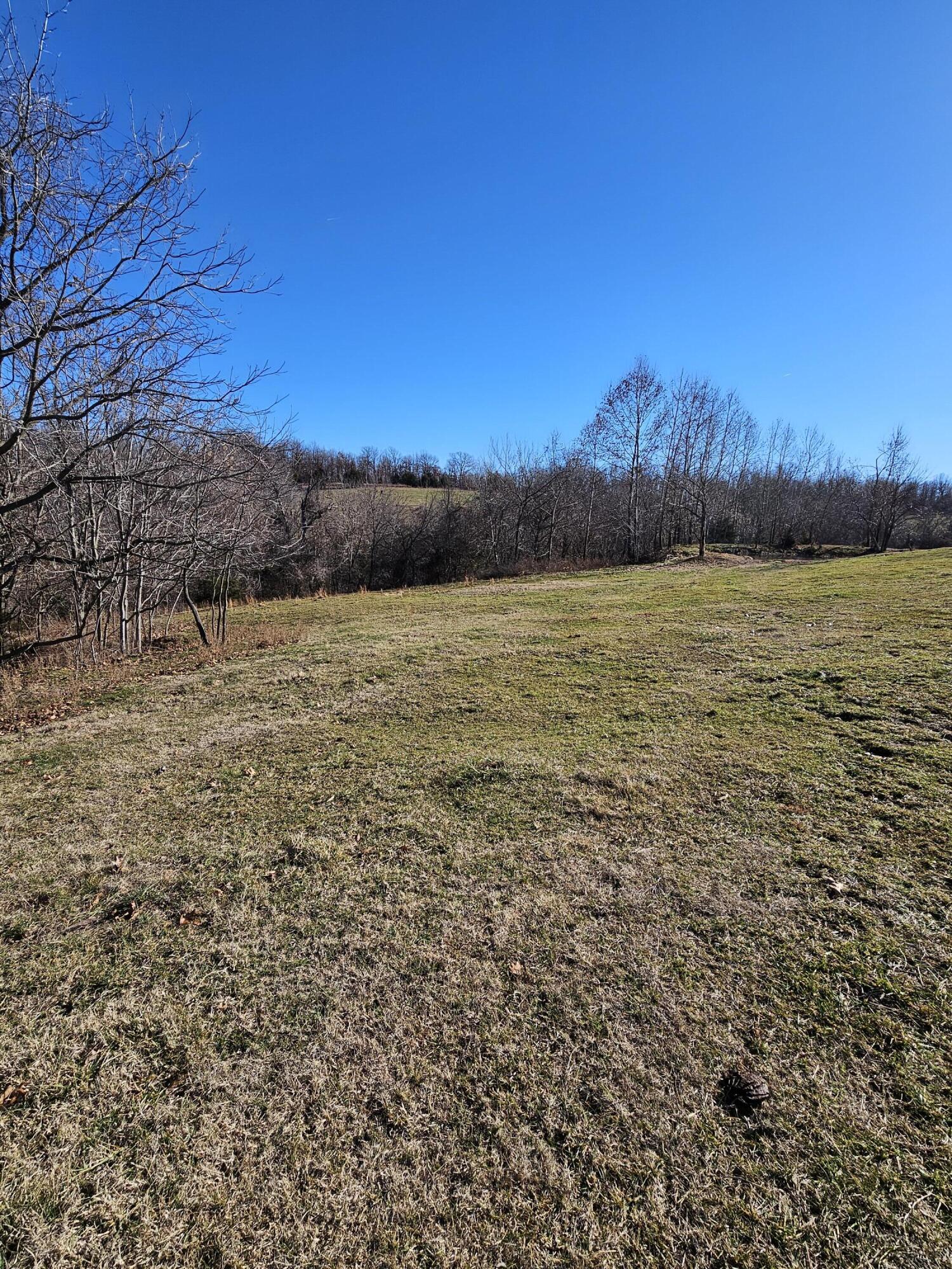 68.80 Acre Low Gap Road Property Photo 11