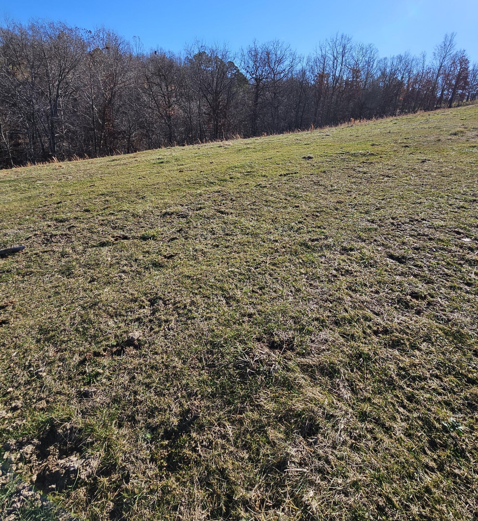 68.80 Acre Low Gap Road Property Photo 14