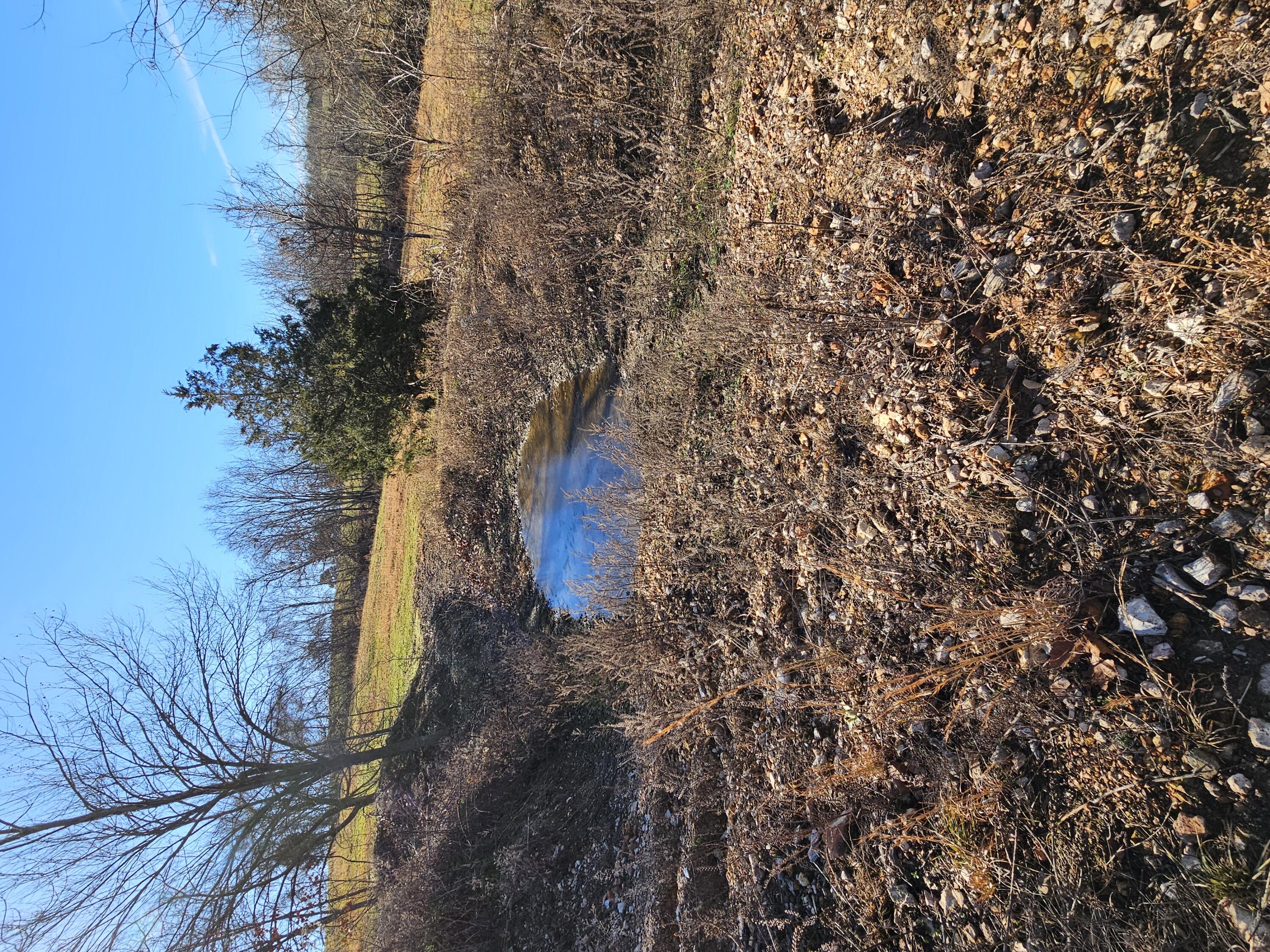 68.80 Acre Low Gap Road Property Photo 24