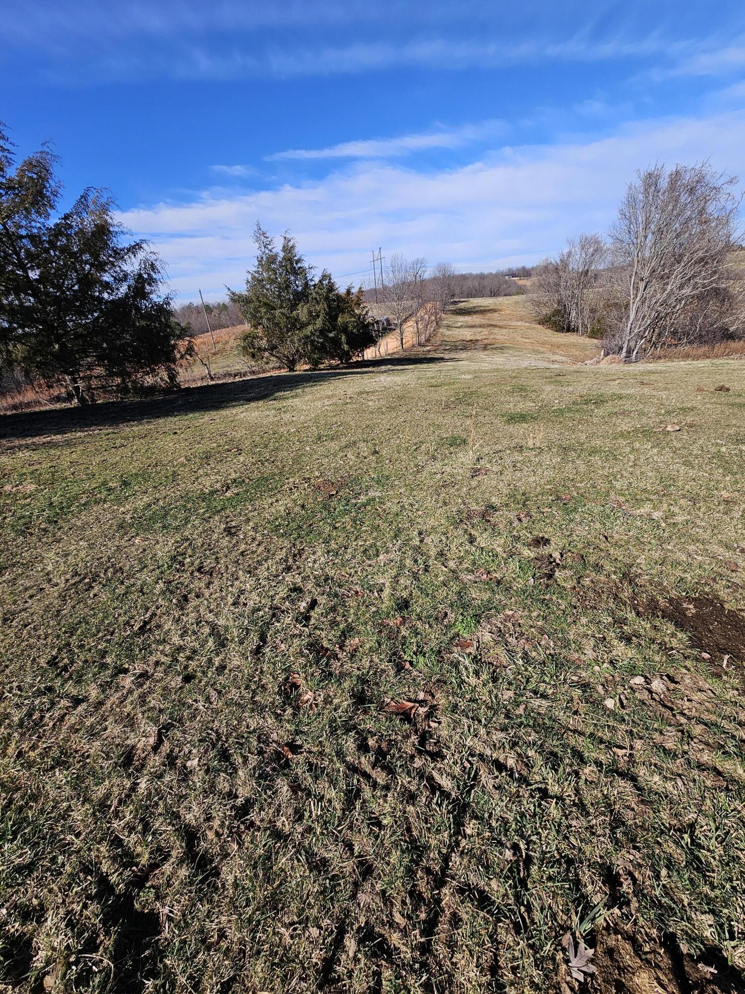 68.80 Acre Low Gap Road Property Photo 34