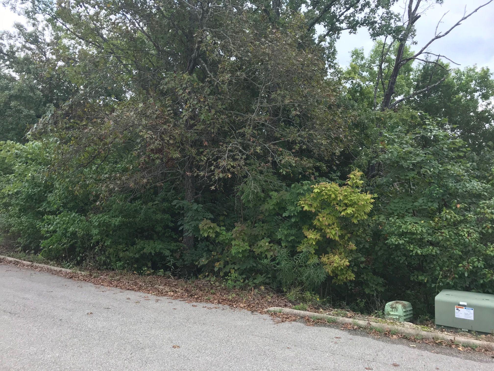 306 Silver Oak Place Property Photo 2