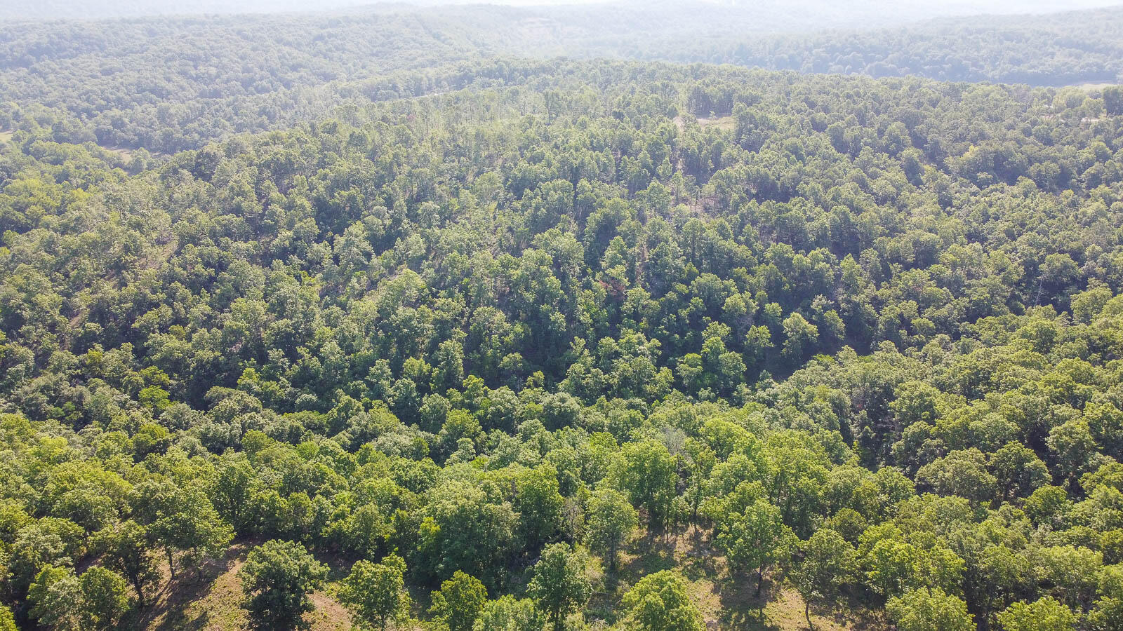 Tract 3 Sandalwood Property Photo 2