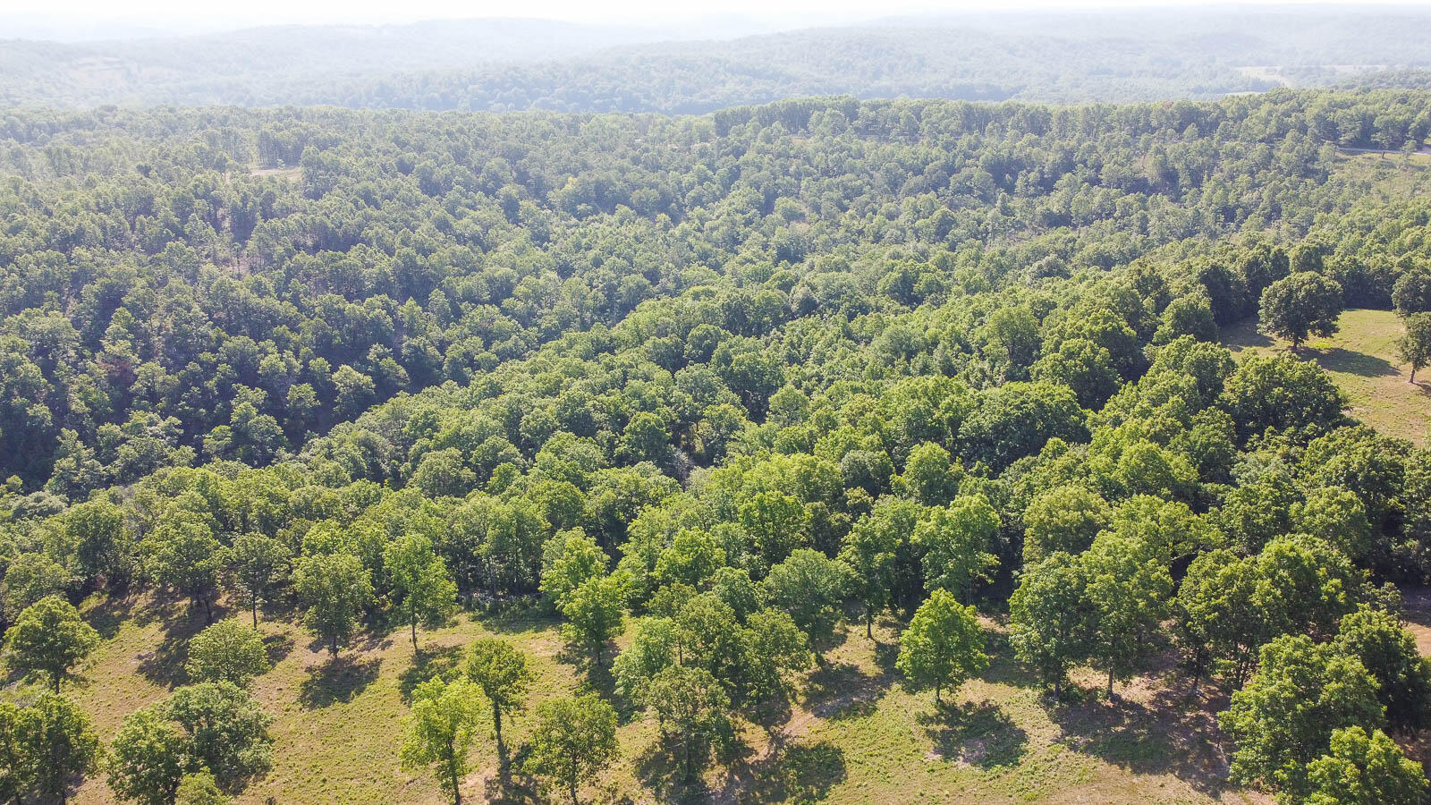 Tract 3 Sandalwood Property Photo 3