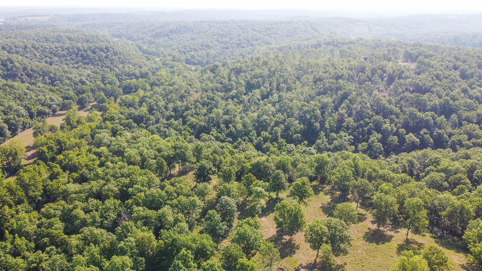 Tract 3 Sandalwood Property Photo 4