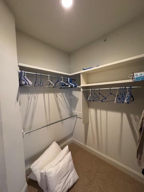 1413 Riverstone Drive Property Photo 28
