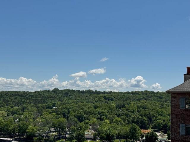 1413 Riverstone Drive Property Photo 35
