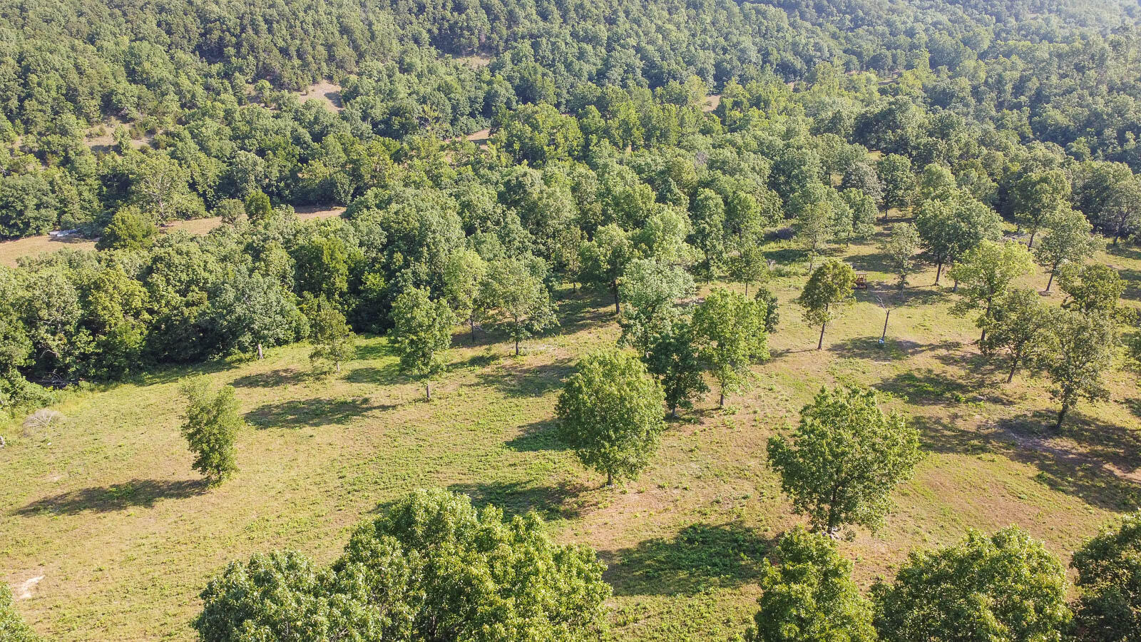 Tbd 4 Corkery Road Property Photo 7
