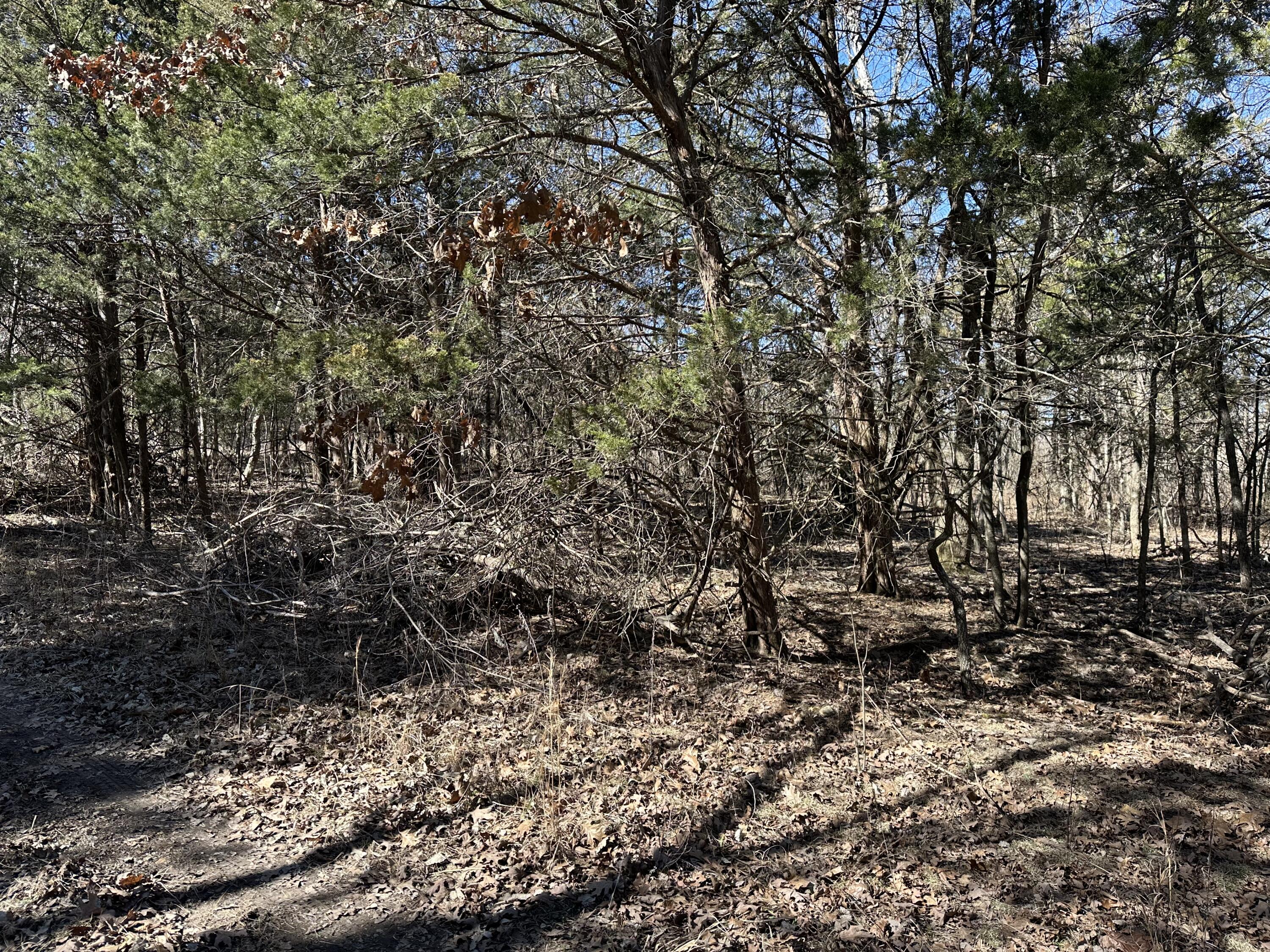 000 Hill Dr Property Photo