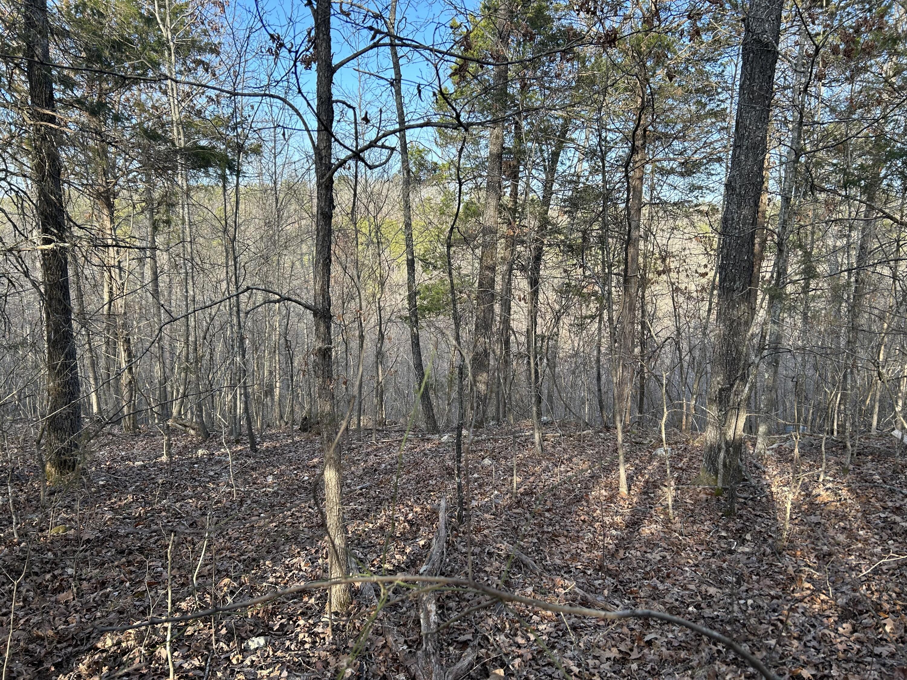 000 County Road 145 Property Photo