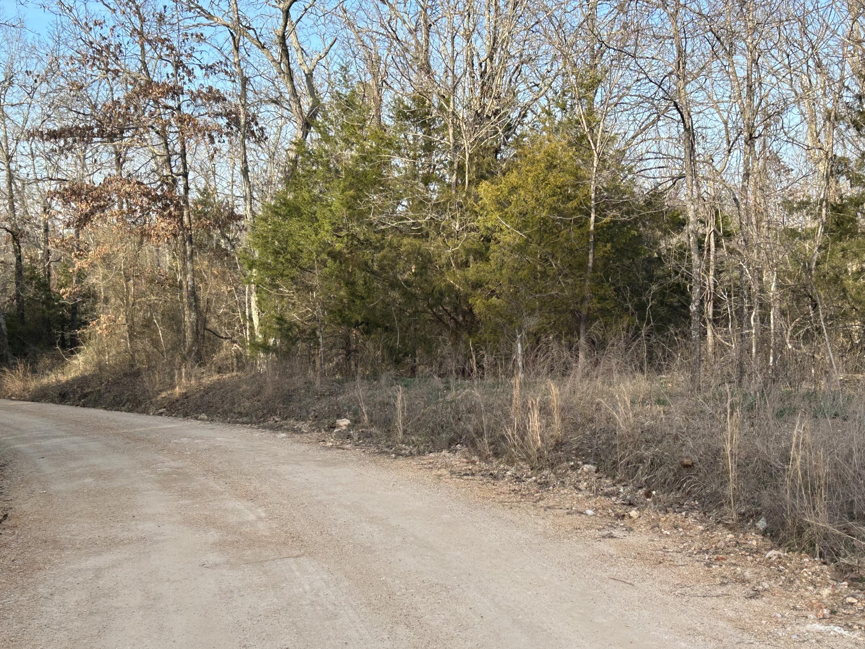 000 County Road 145 Property Photo 6
