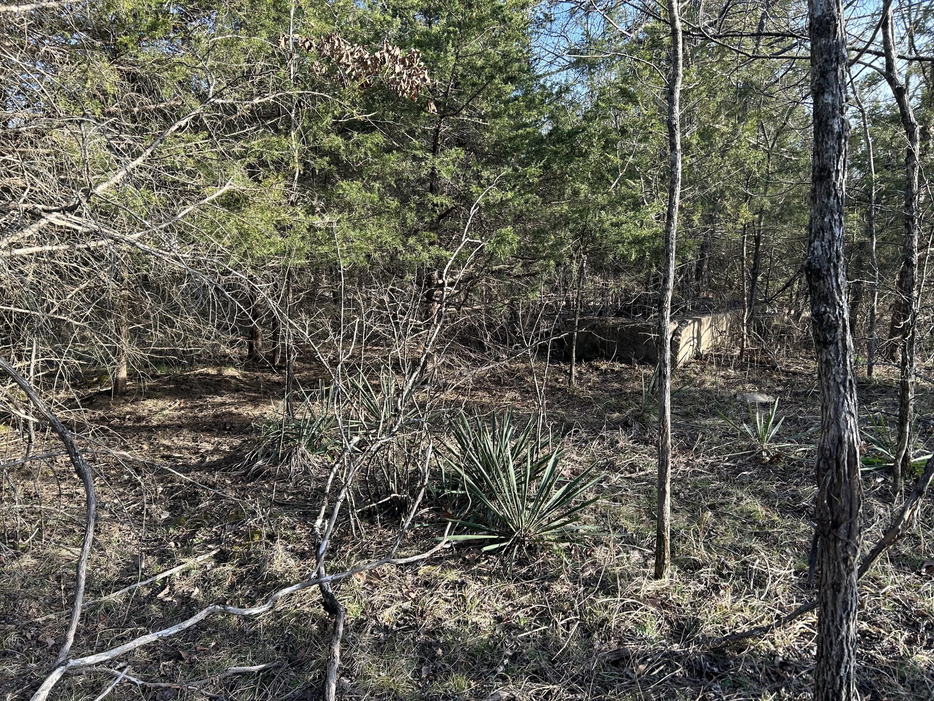 000 County Road 145 Property Photo 8