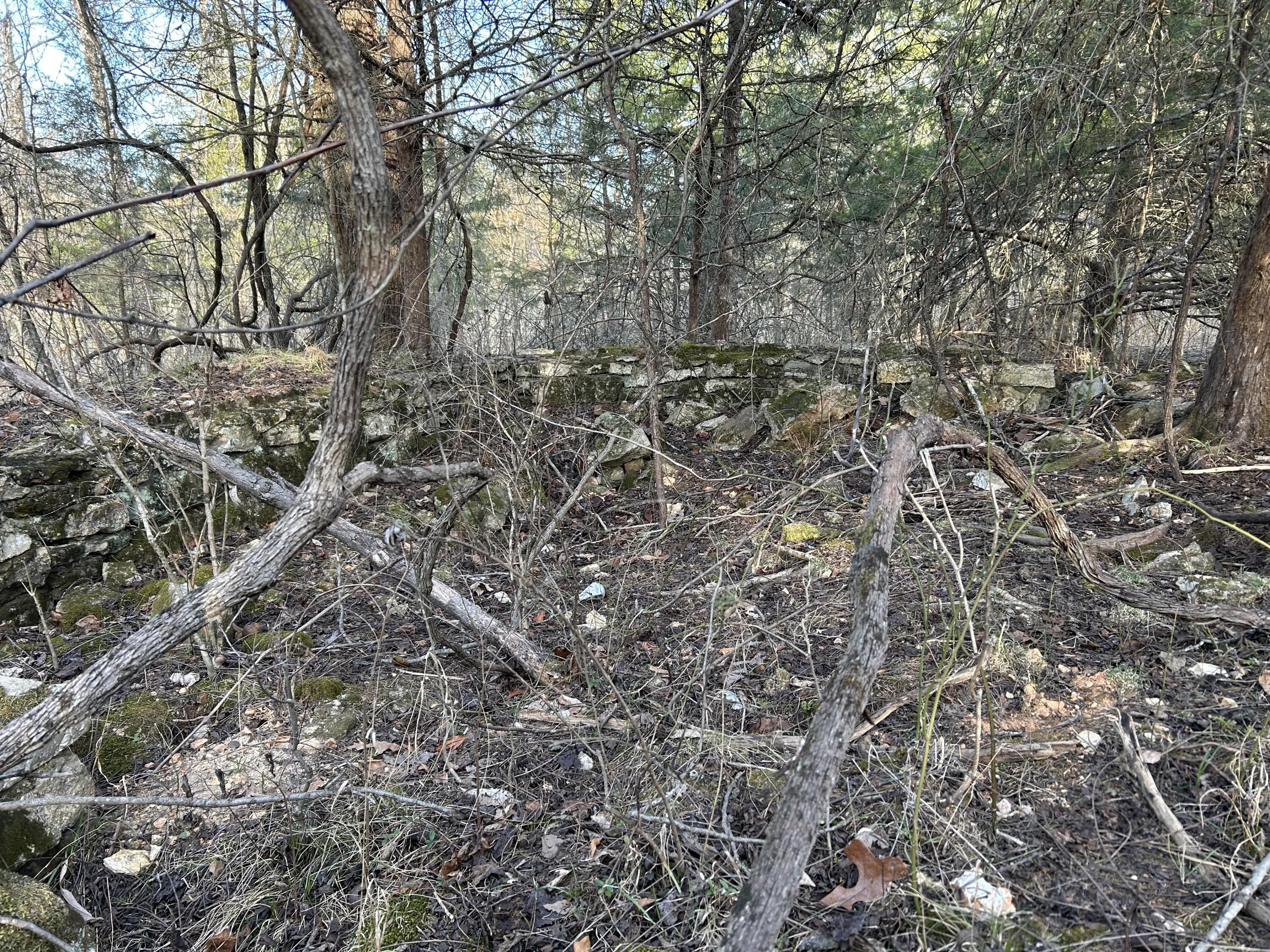 000 County Road 145 Property Photo 10