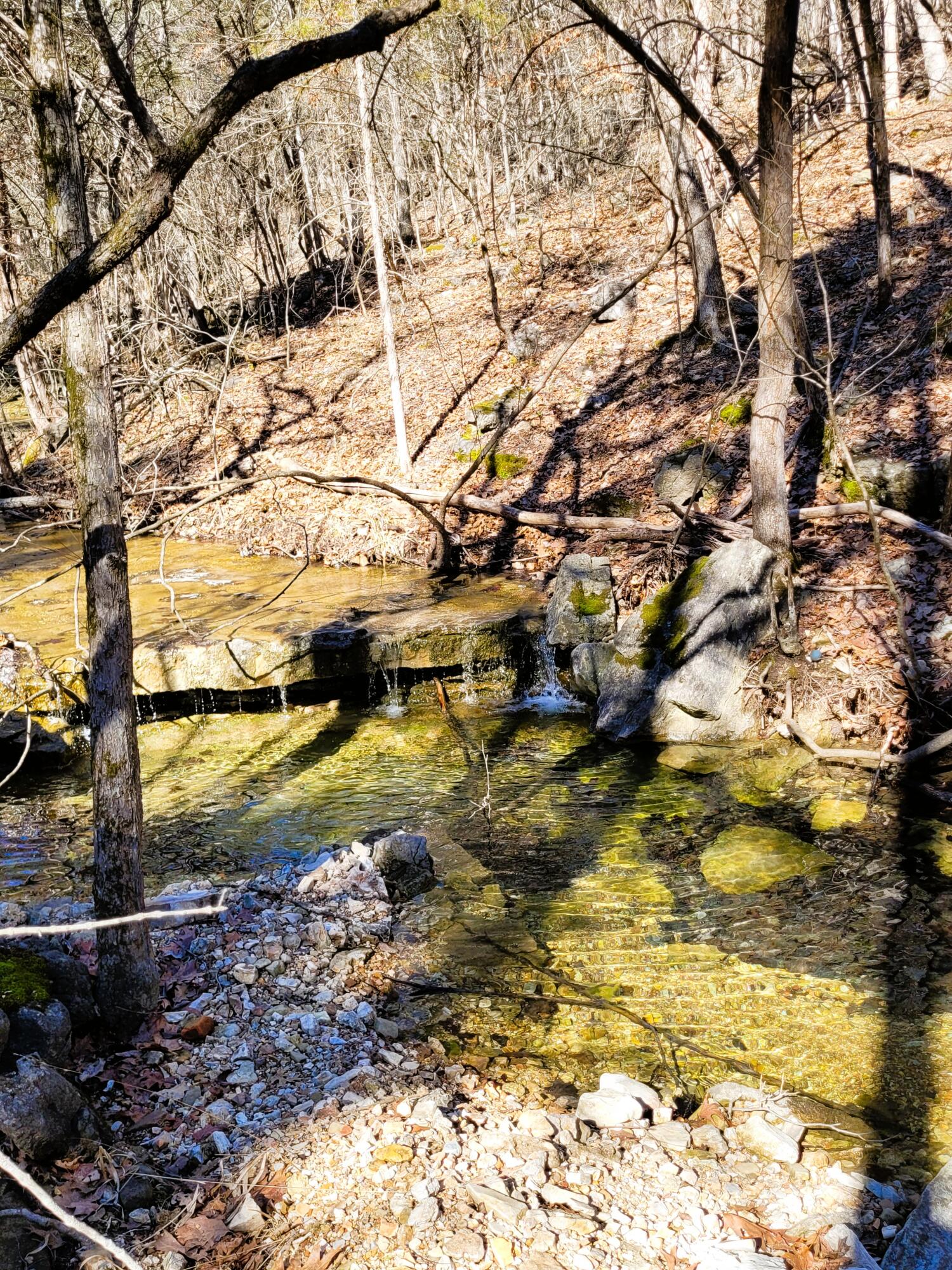 7.5 Acres Sycamore Church Rd Property Photo 6