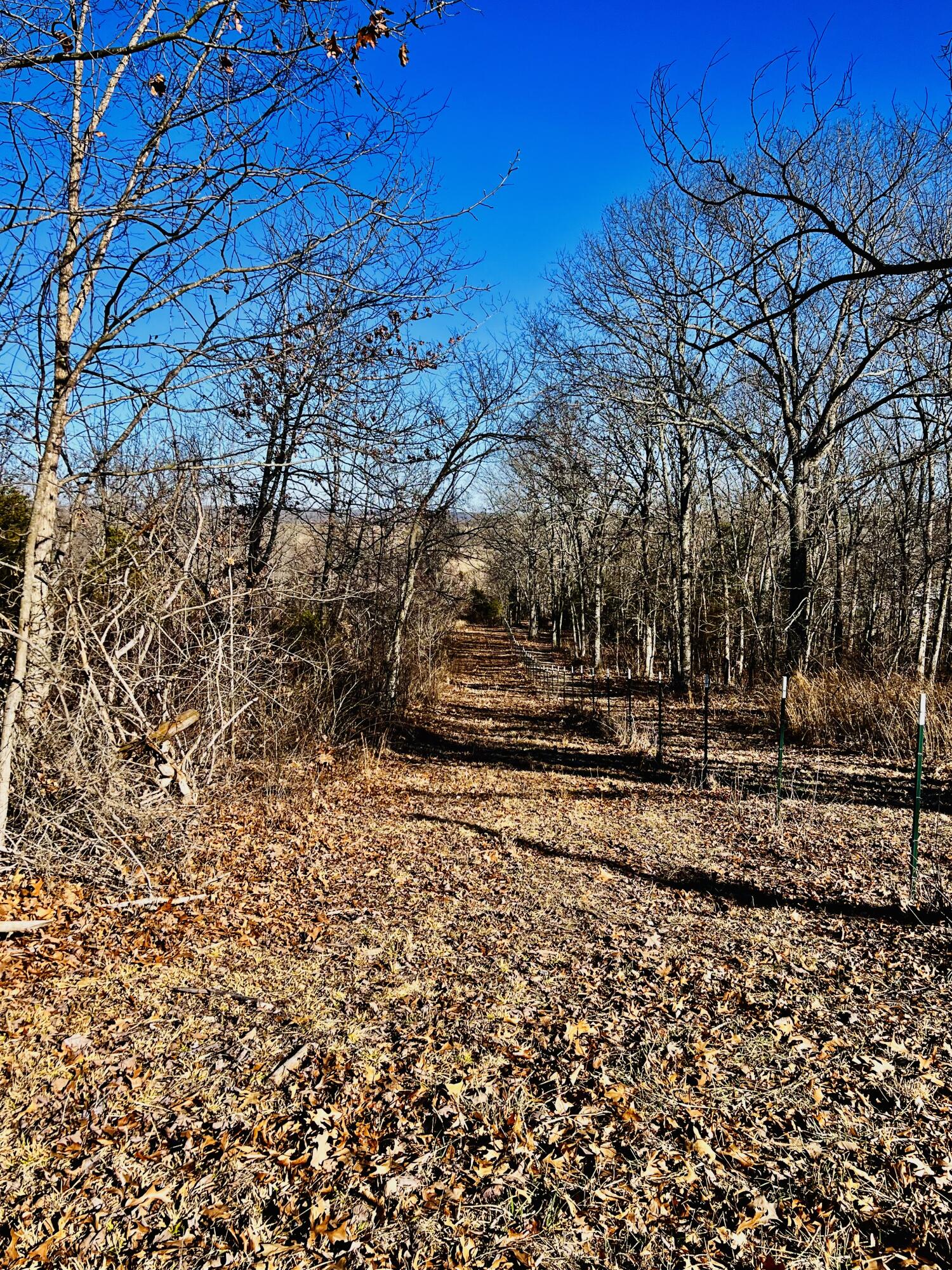 15000 Highway H Property Photo 29