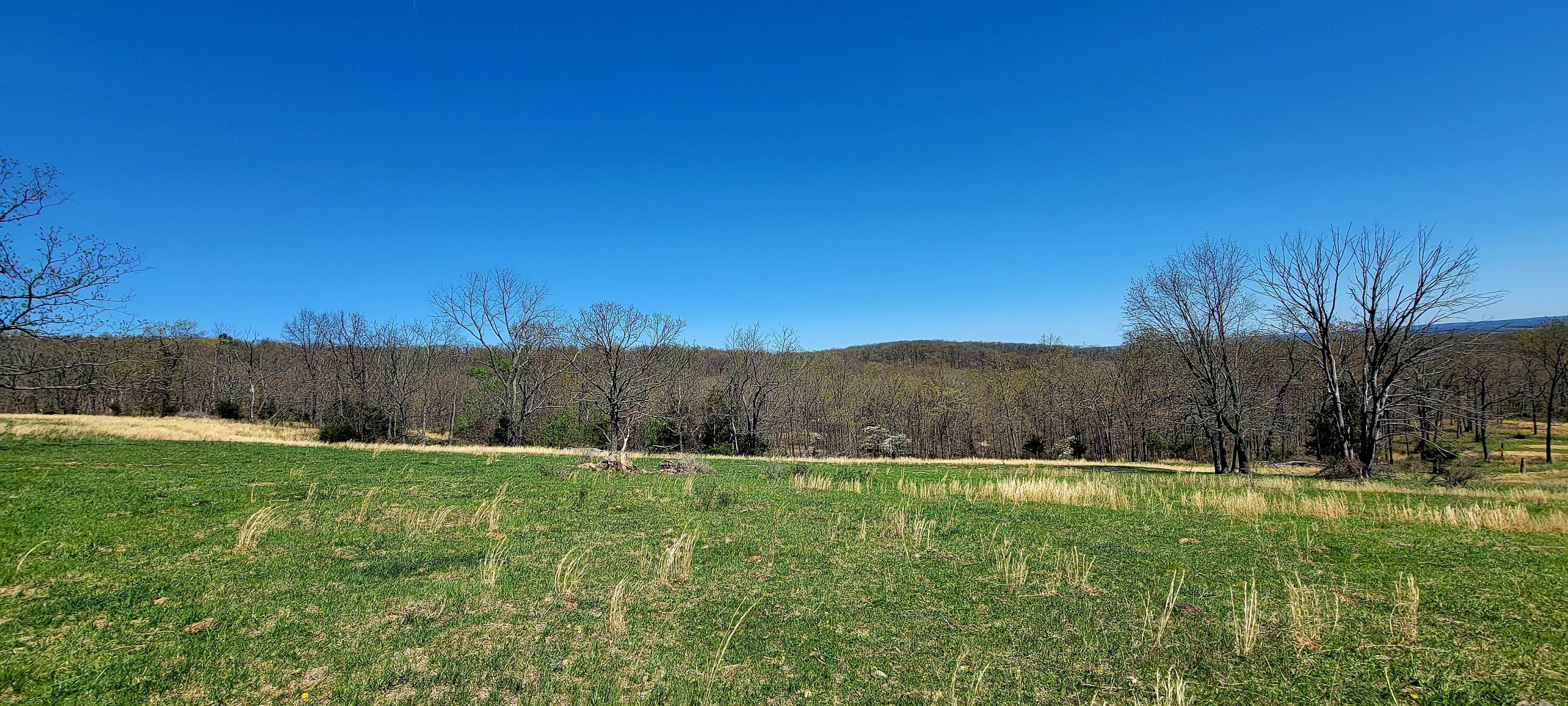 000 Highway 38 Property Photo 6