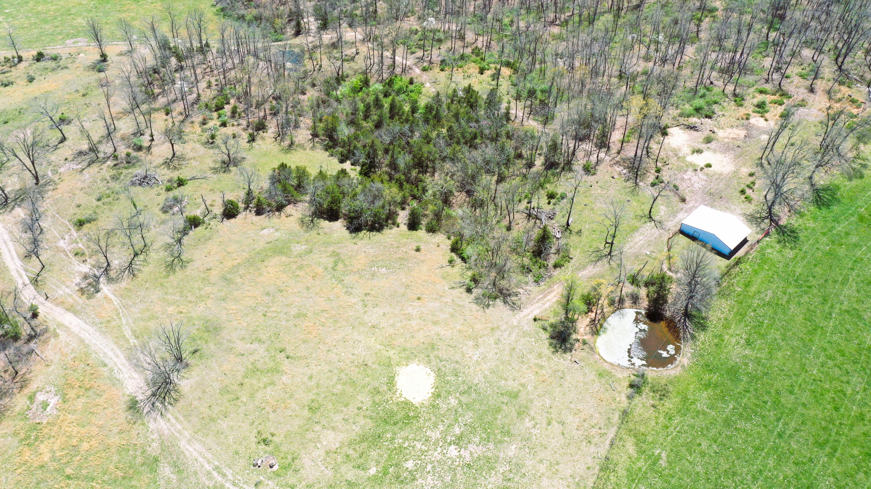 000 Highway 38 Property Photo 15