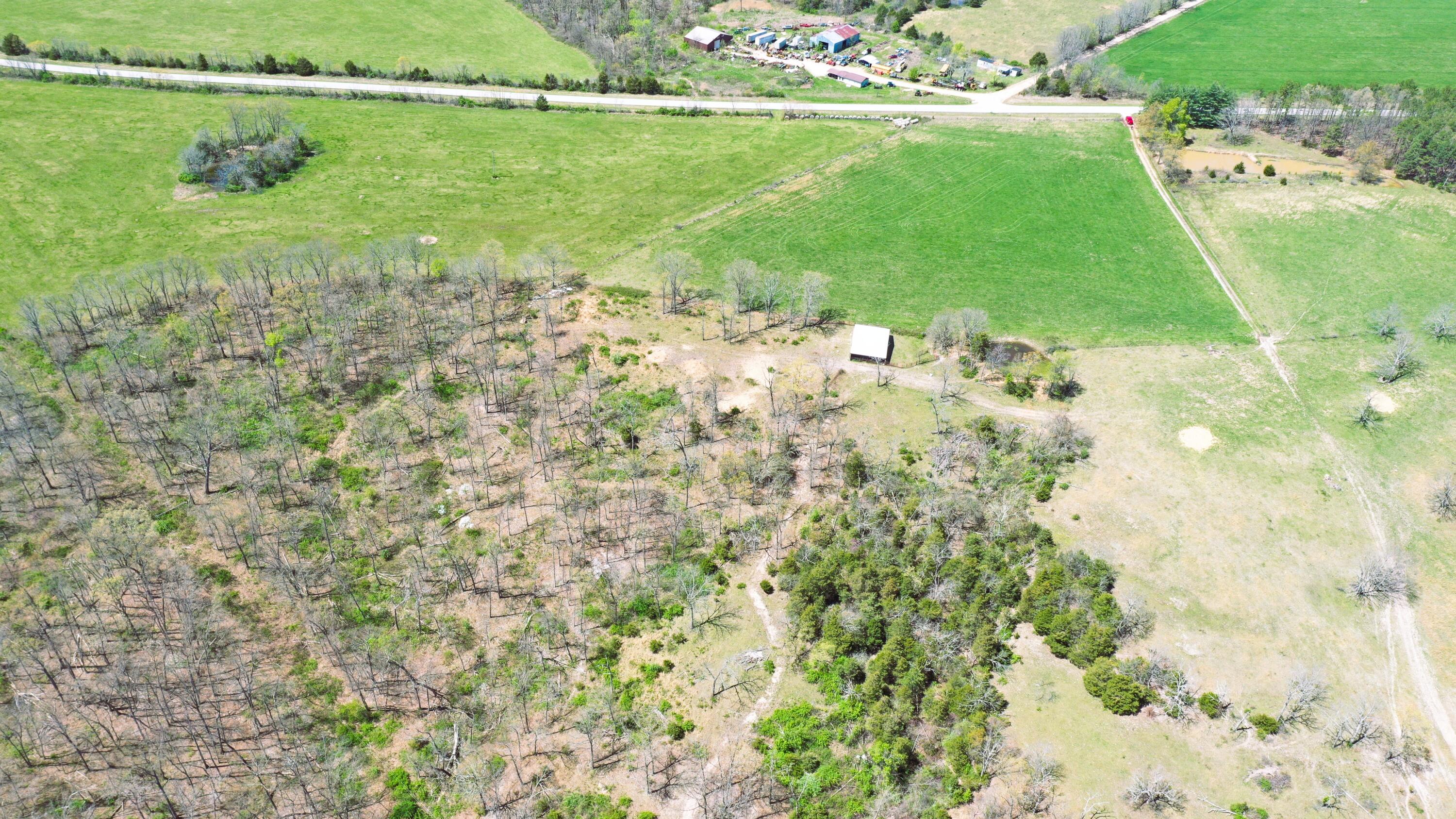 000 Highway 38 Property Photo 16