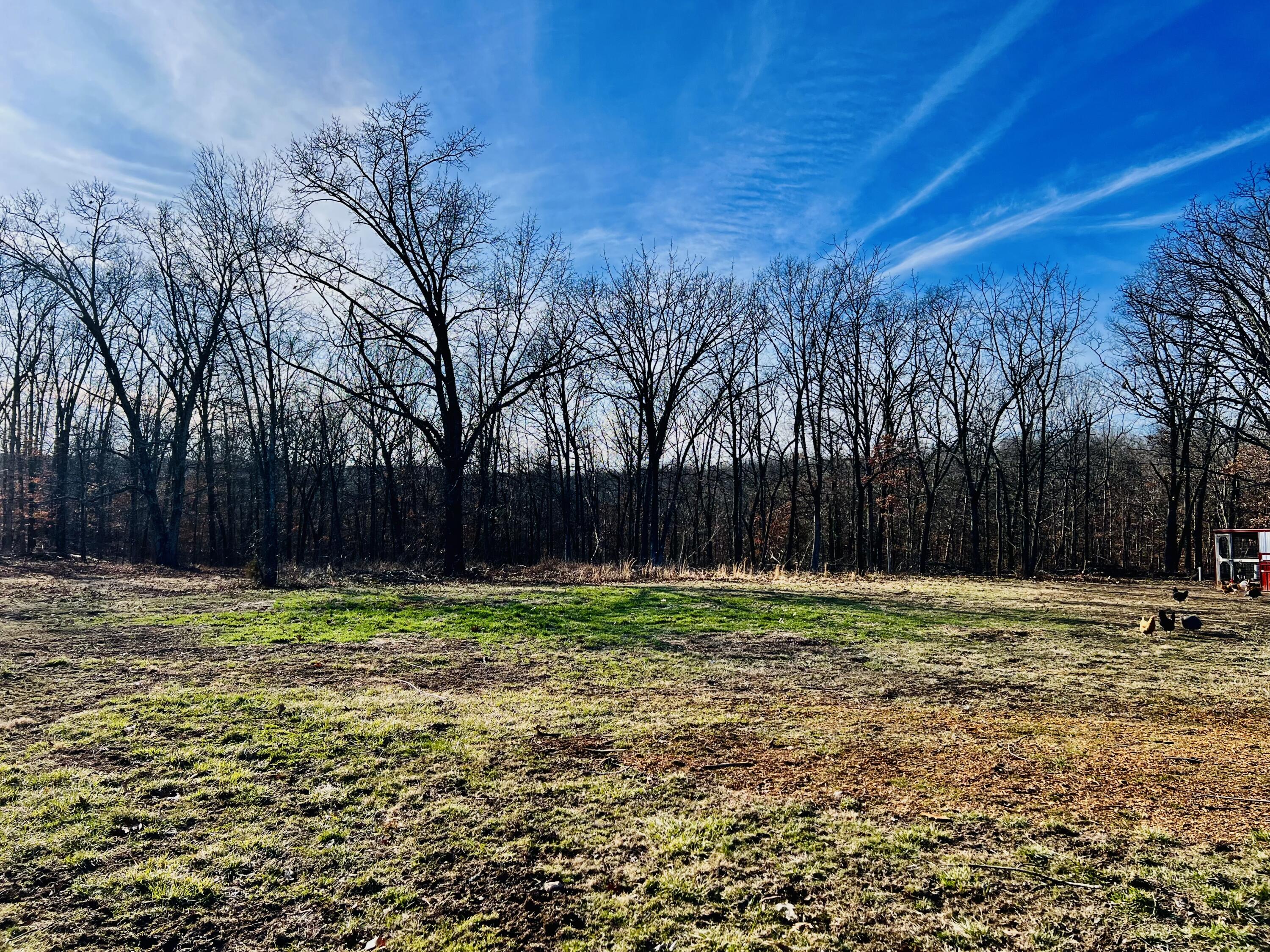 8433 Plum Valley Road Property Photo 19