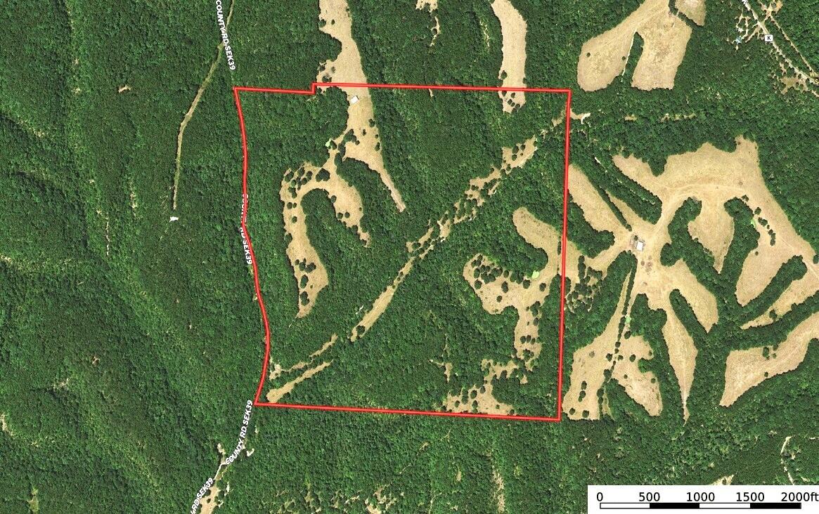 1006 Skaggs Hollow Road Property Photo 2