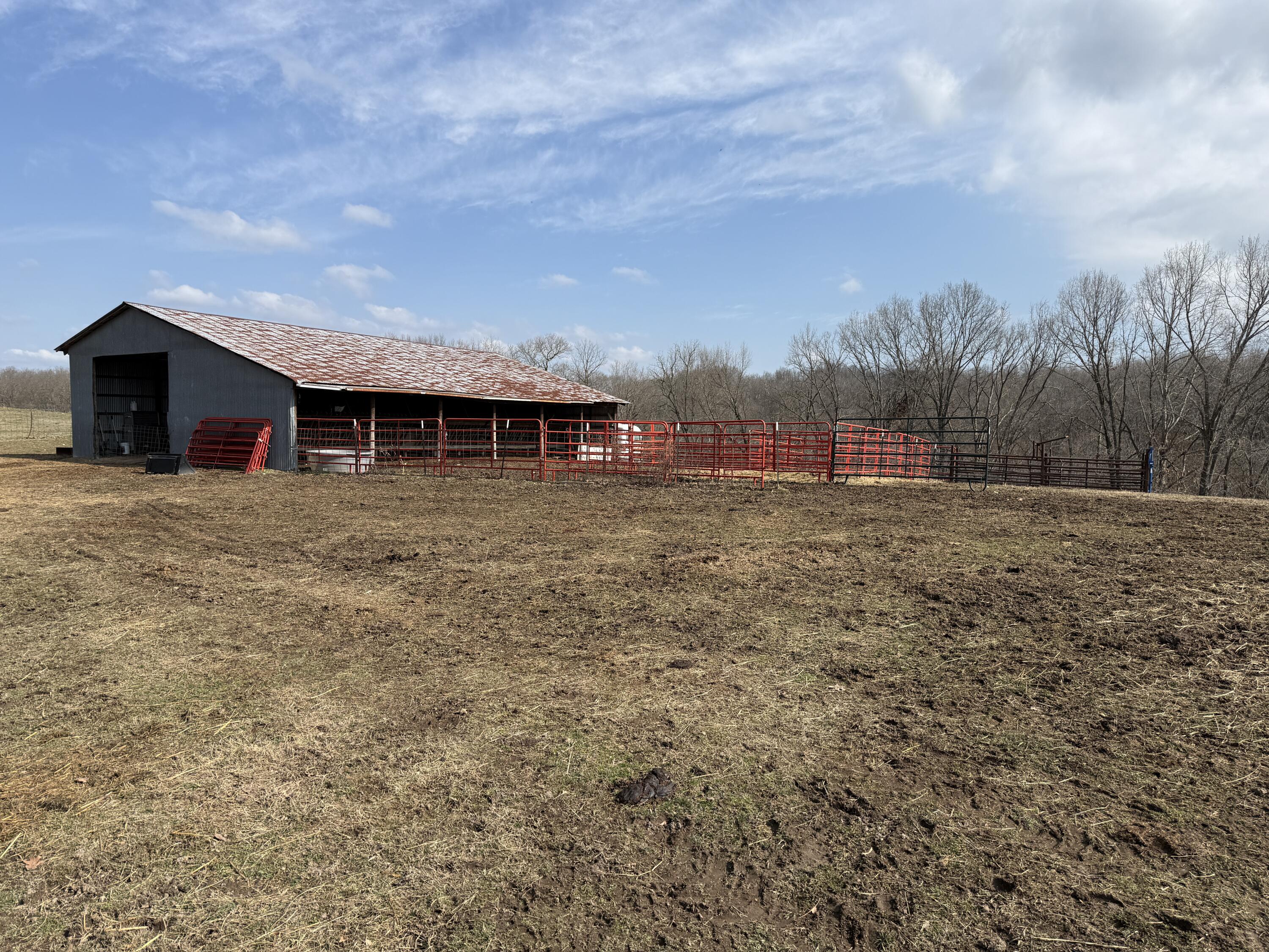 1006 Skaggs Hollow Road Property Photo 4