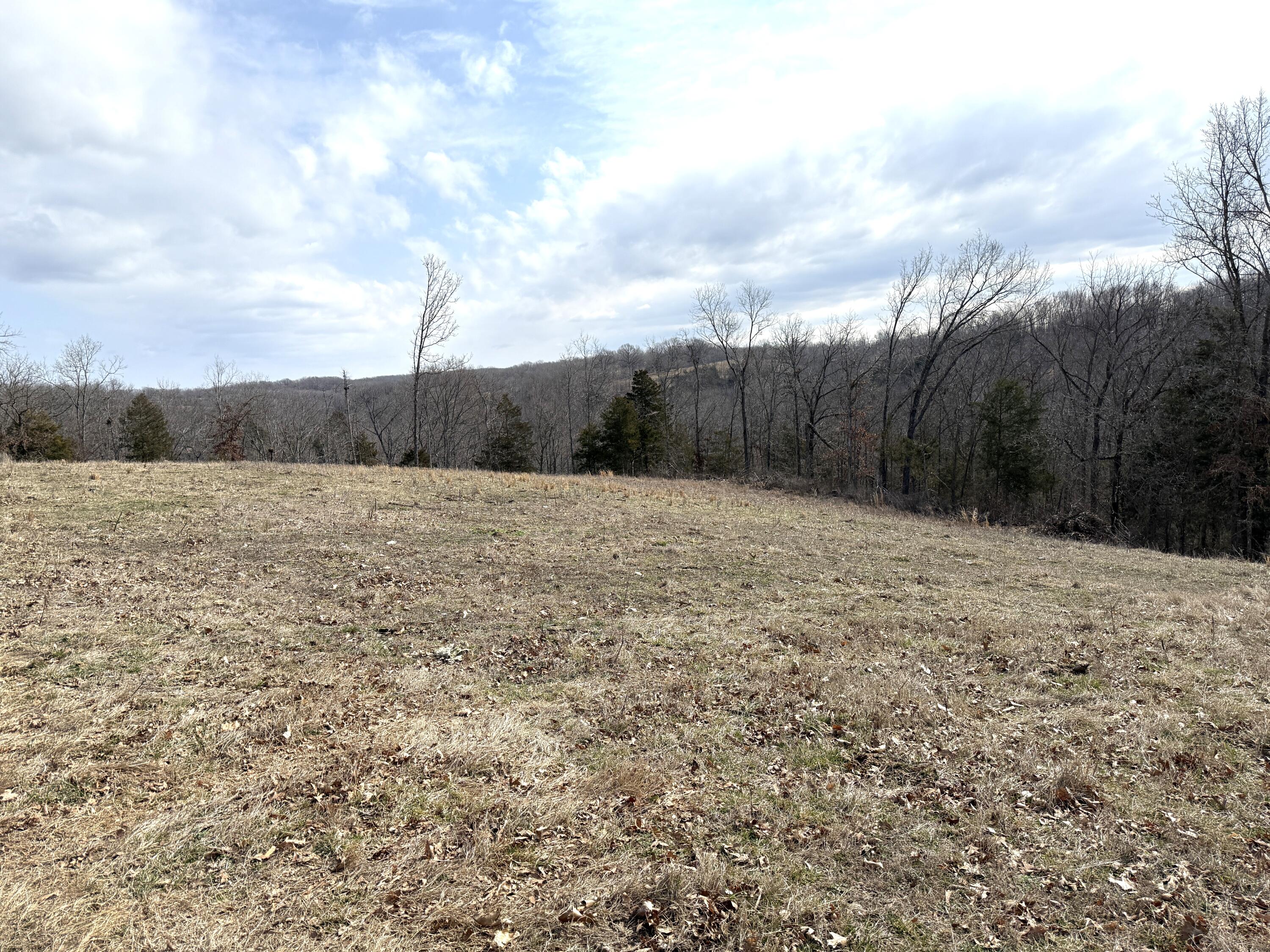 1006 Skaggs Hollow Road Property Photo 6