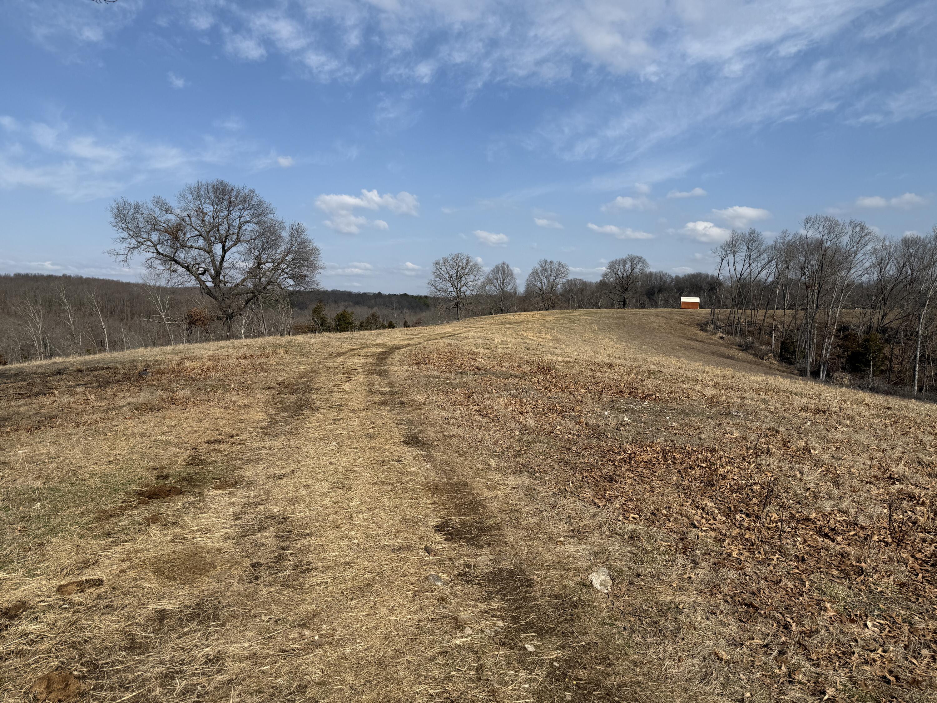 1006 Skaggs Hollow Road Property Photo 7
