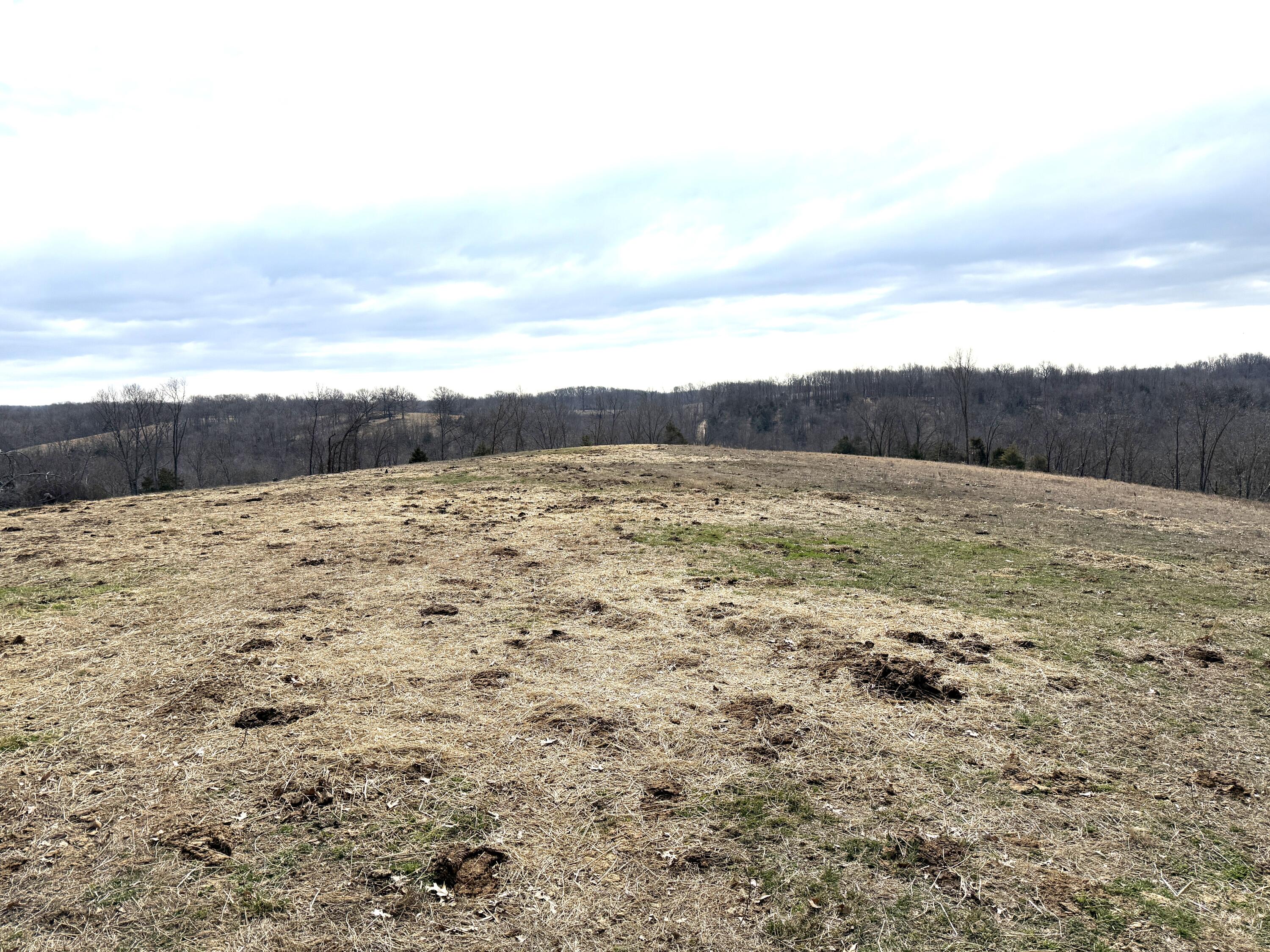 1006 Skaggs Hollow Road Property Photo 8