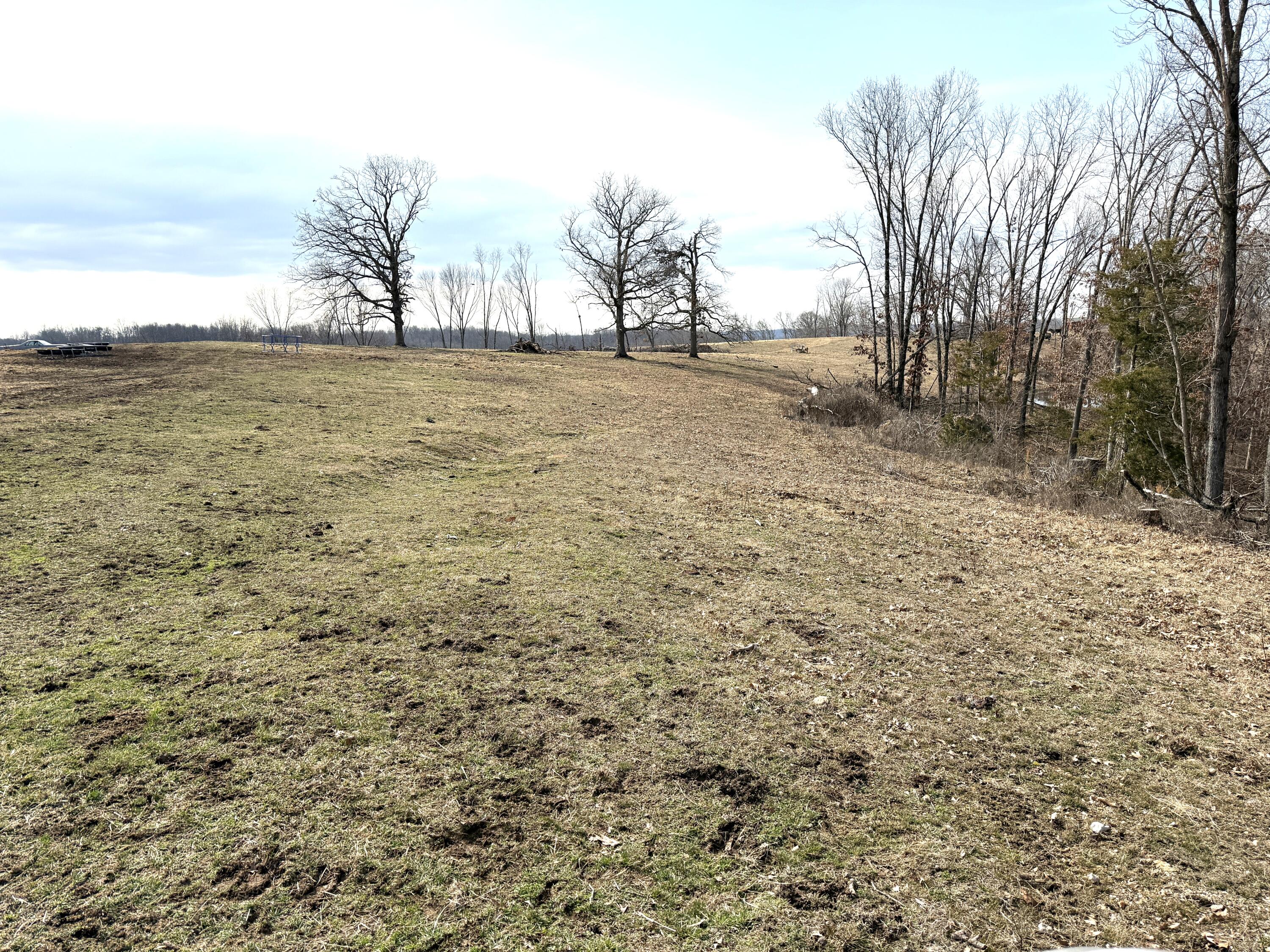 1006 Skaggs Hollow Road Property Photo 11