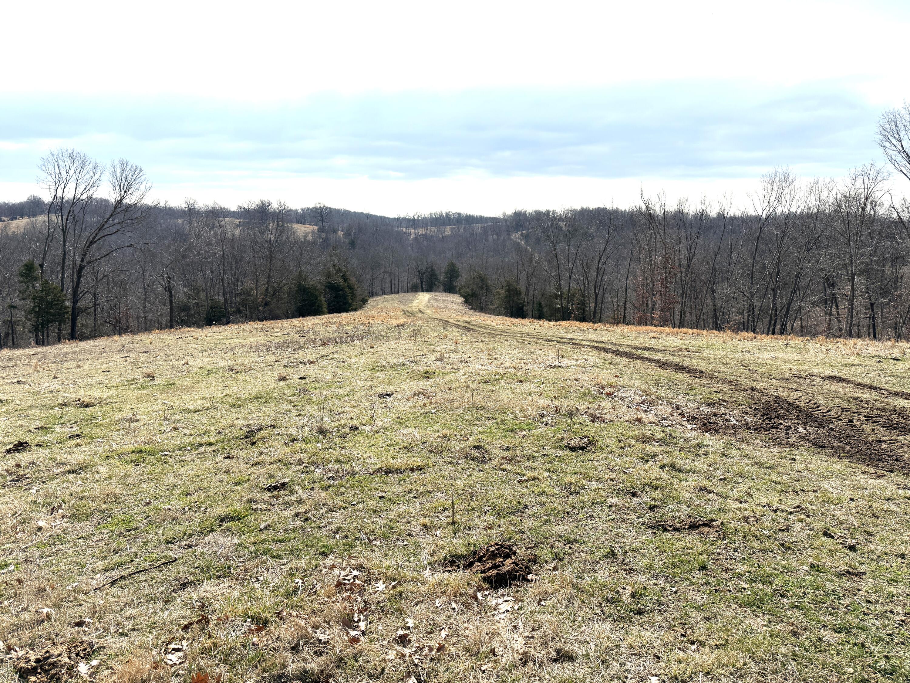 1006 Skaggs Hollow Road Property Photo 13