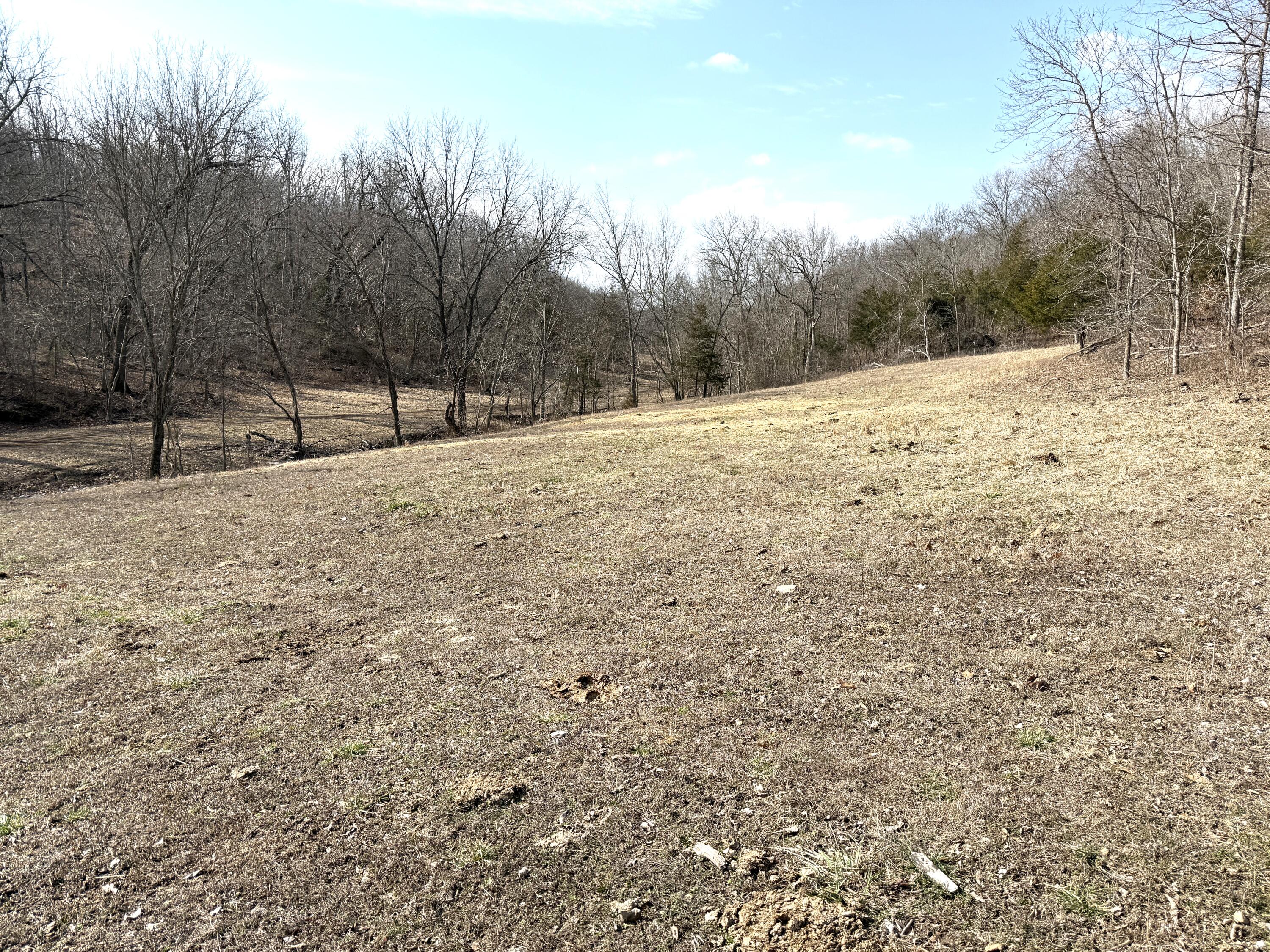 1006 Skaggs Hollow Road Property Photo 14