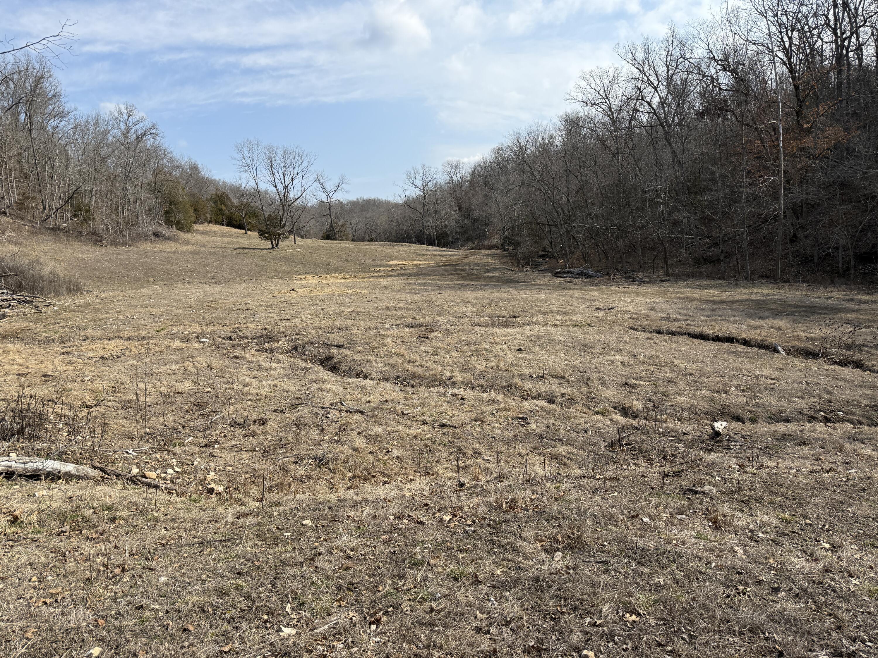 1006 Skaggs Hollow Road Property Photo 15