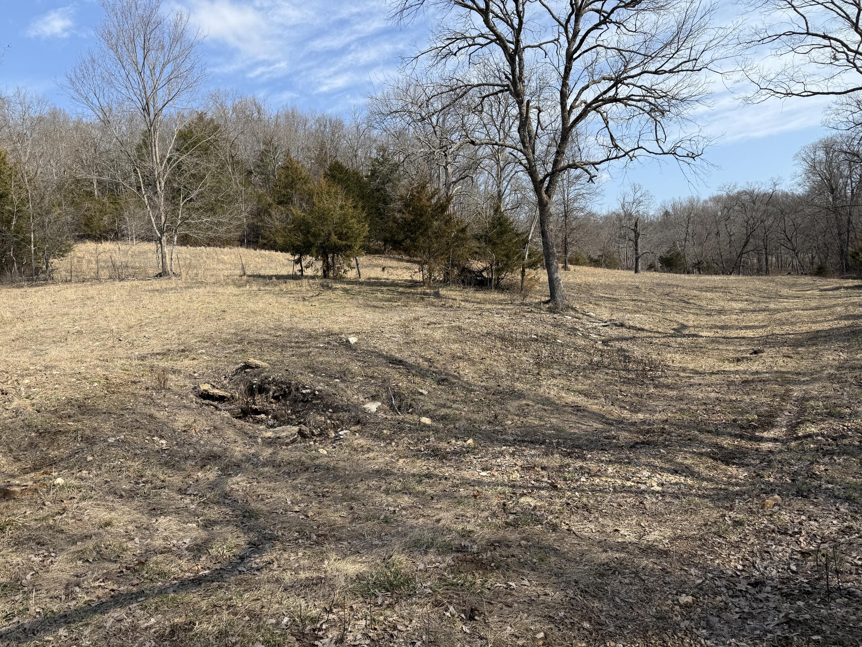 1006 Skaggs Hollow Road Property Photo 16
