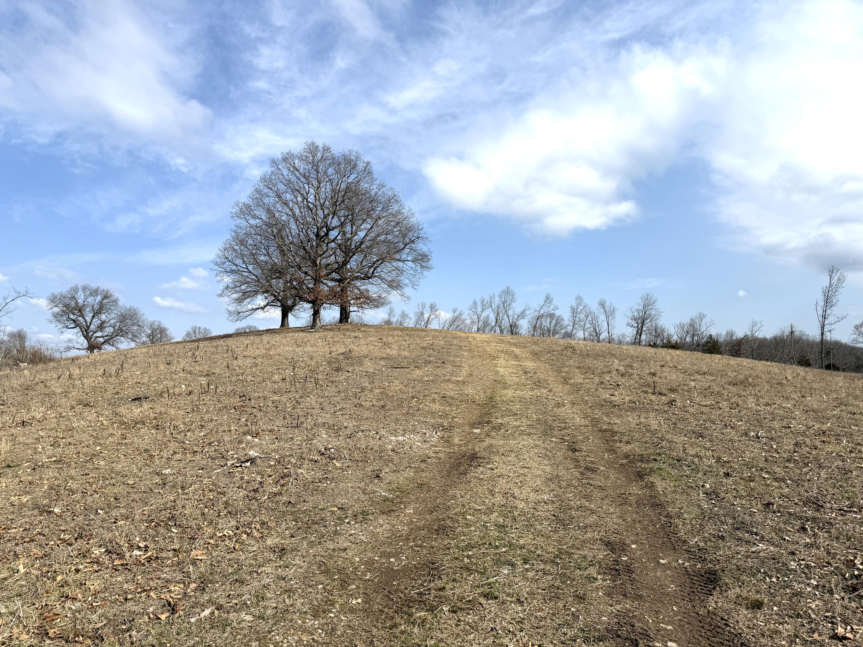 1006 Skaggs Hollow Road Property Photo 17
