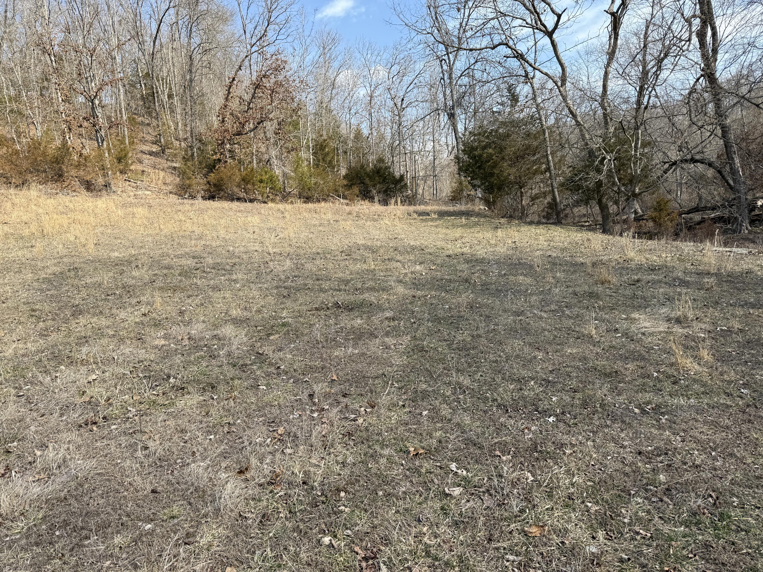 1006 Skaggs Hollow Road Property Photo 19