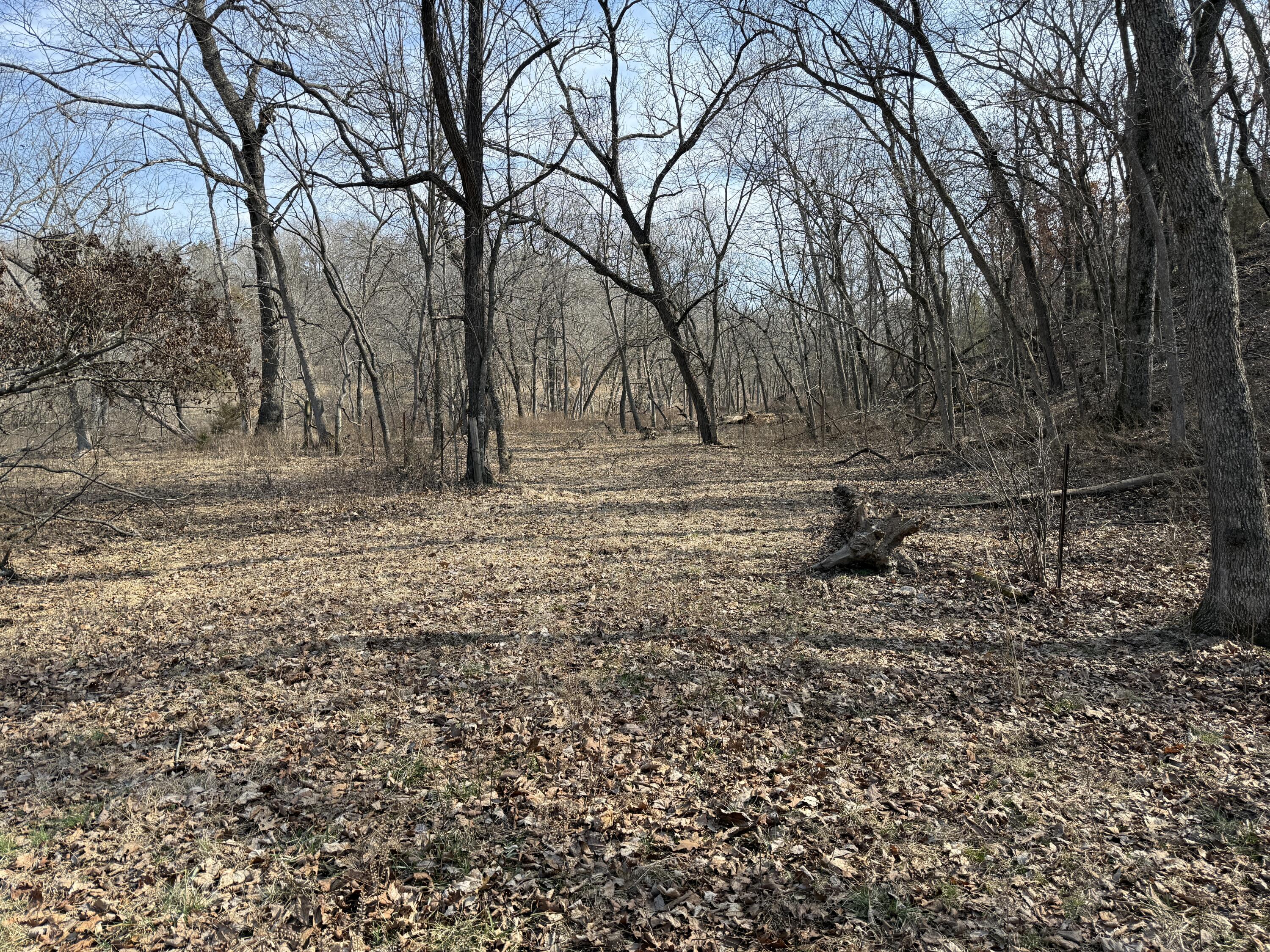1006 Skaggs Hollow Road Property Photo 20