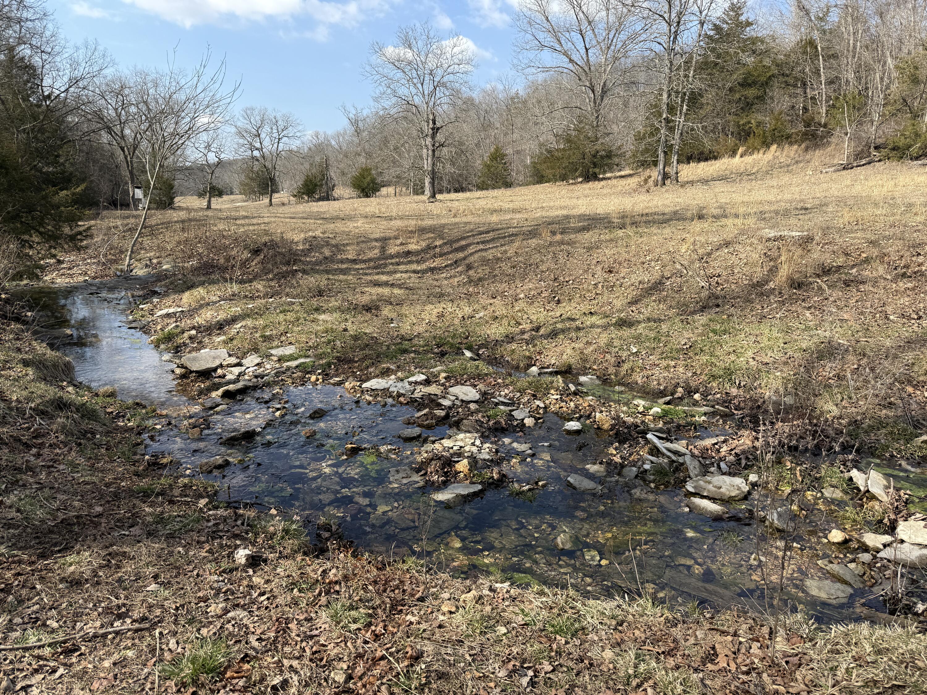 1006 Skaggs Hollow Road Property Photo 21