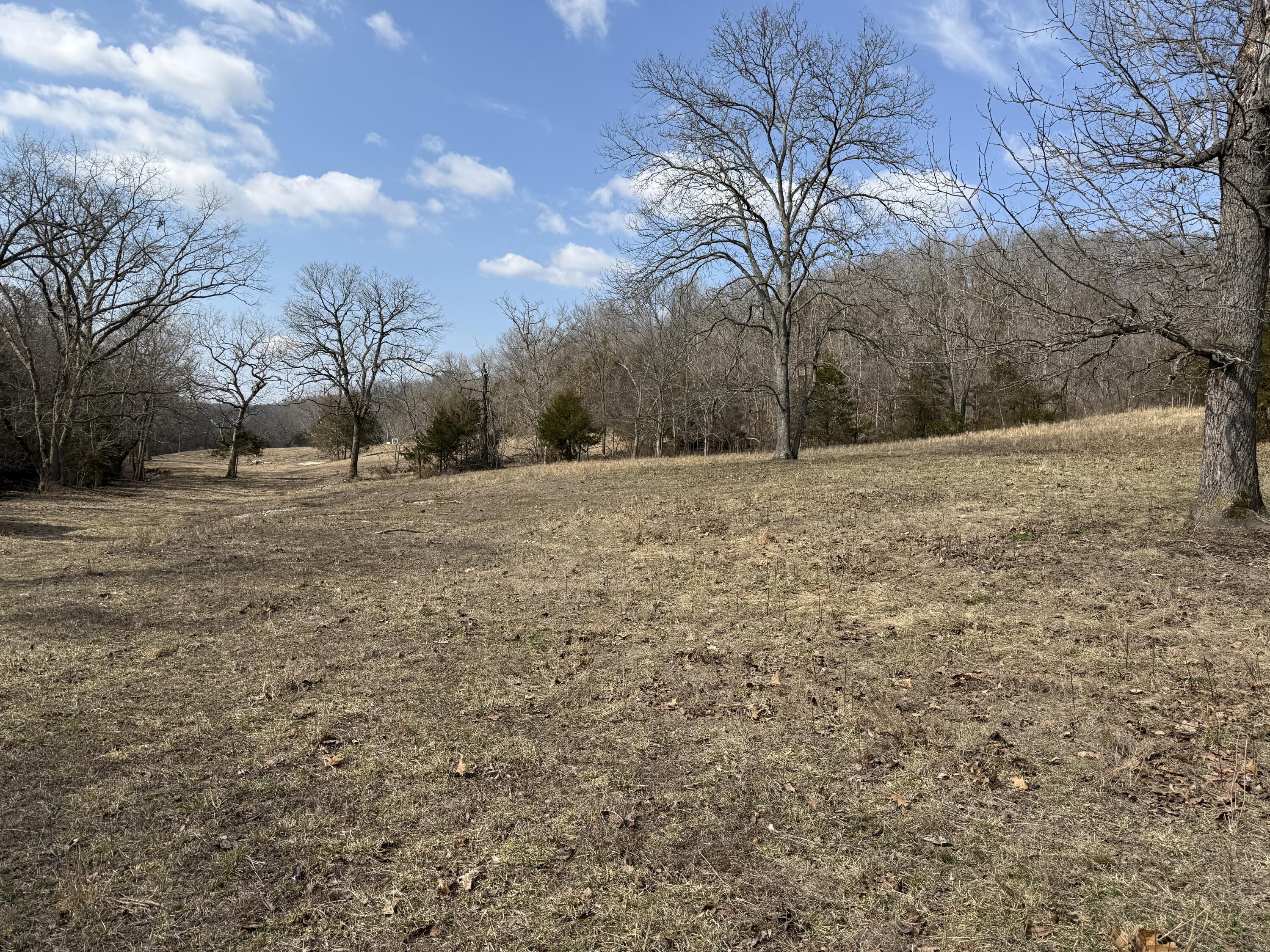1006 Skaggs Hollow Road Property Photo 22