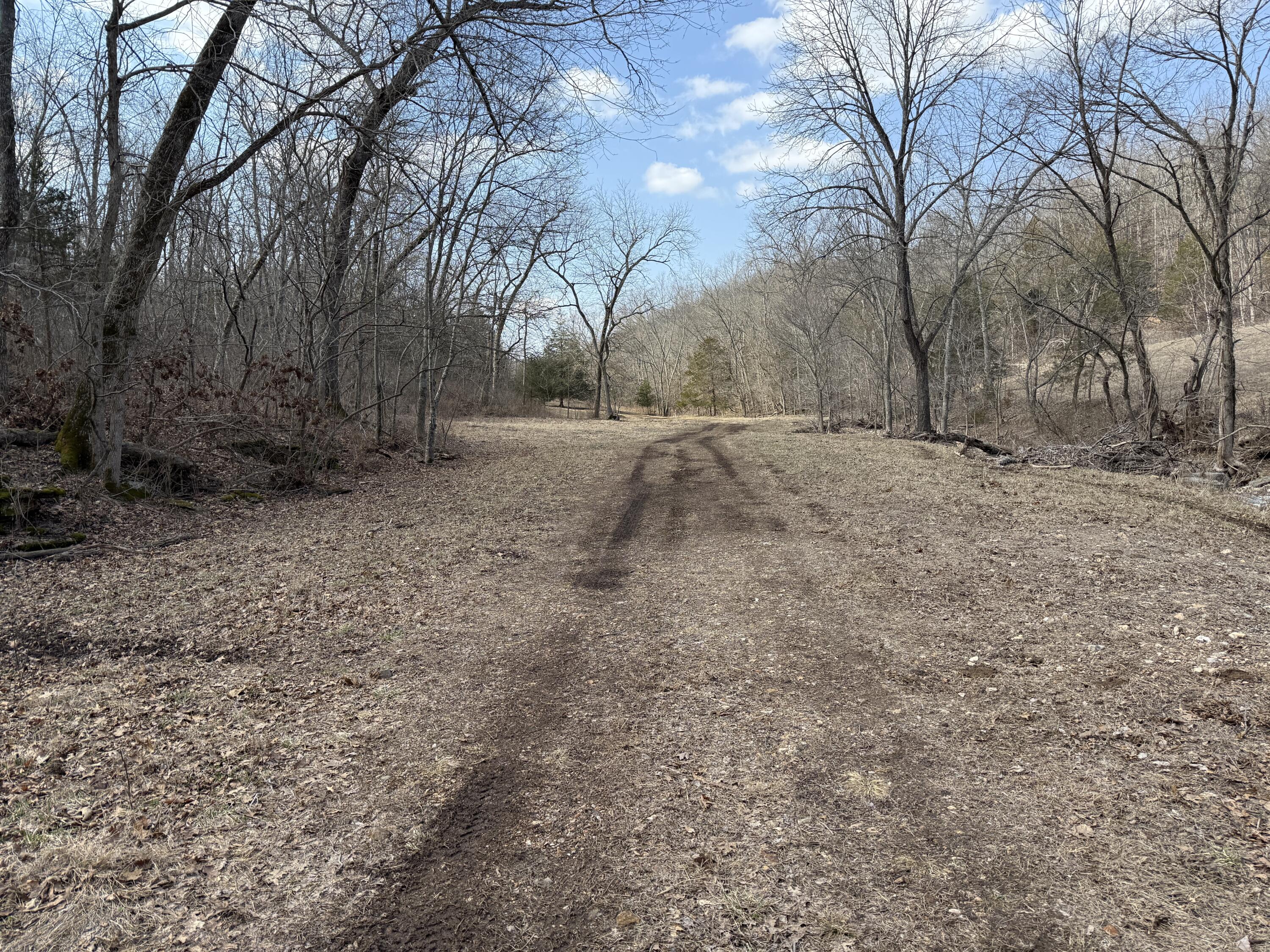 1006 Skaggs Hollow Road Property Photo 23