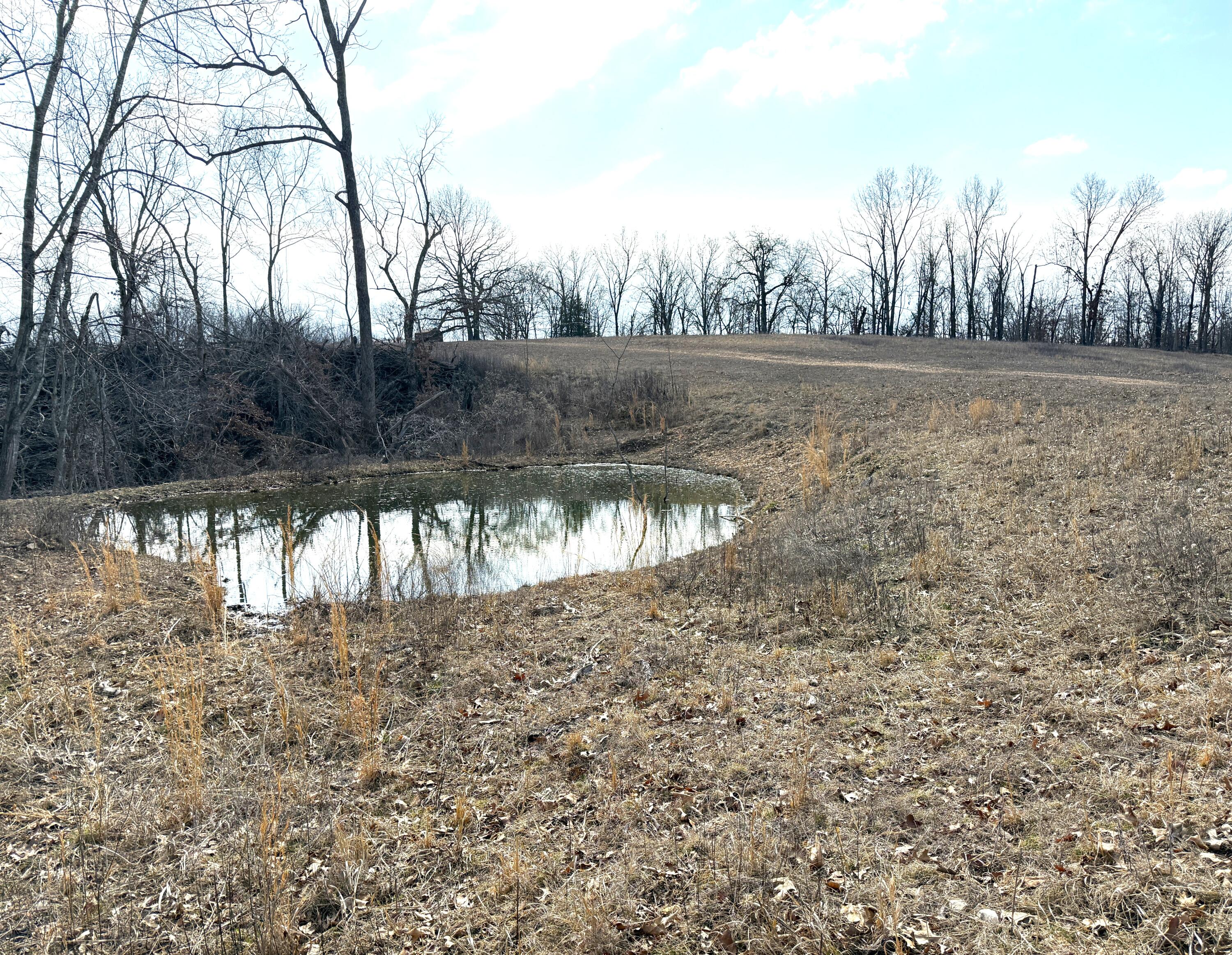 1006 Skaggs Hollow Road Property Photo 25