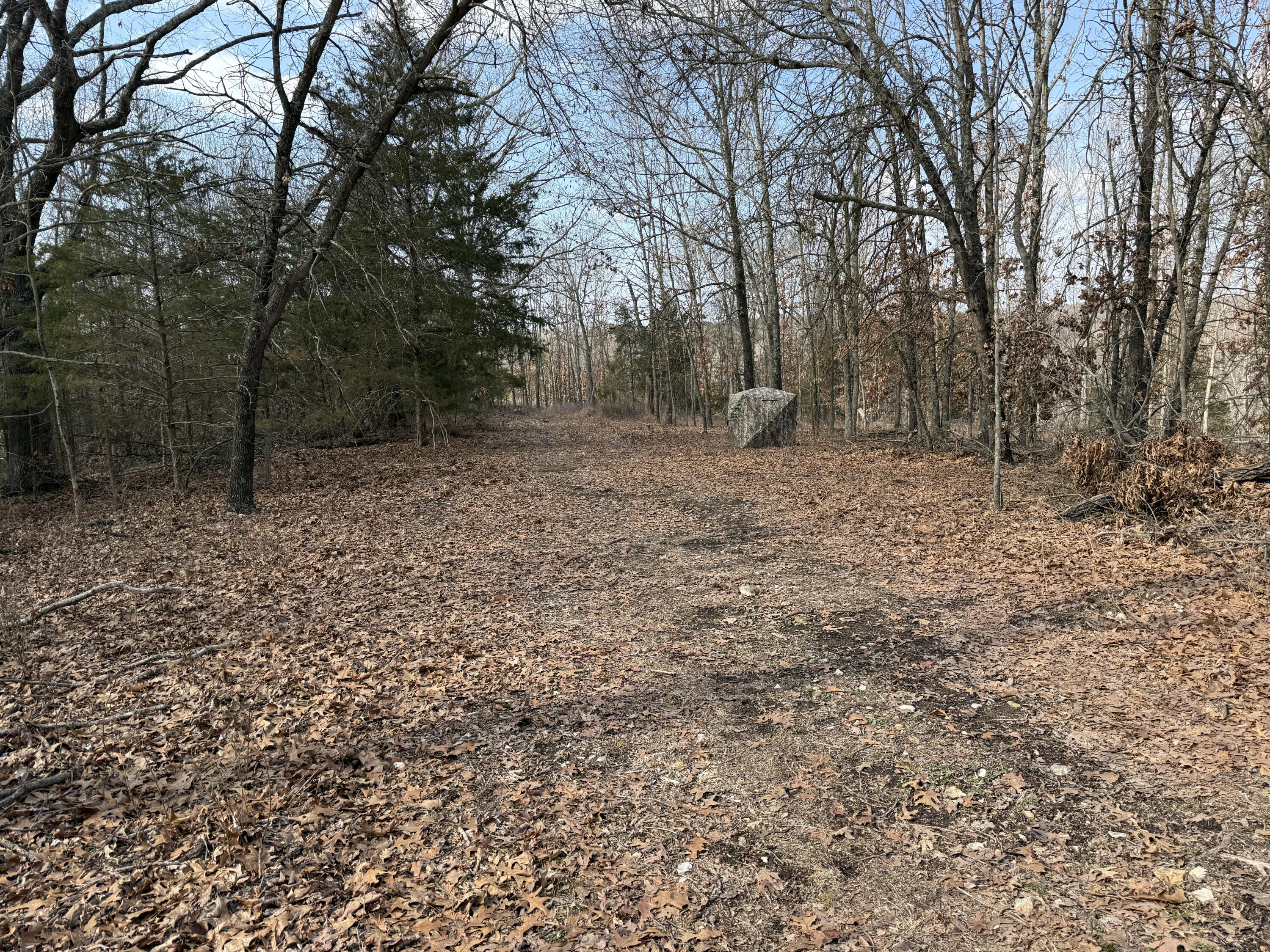 1006 Skaggs Hollow Road Property Photo 26