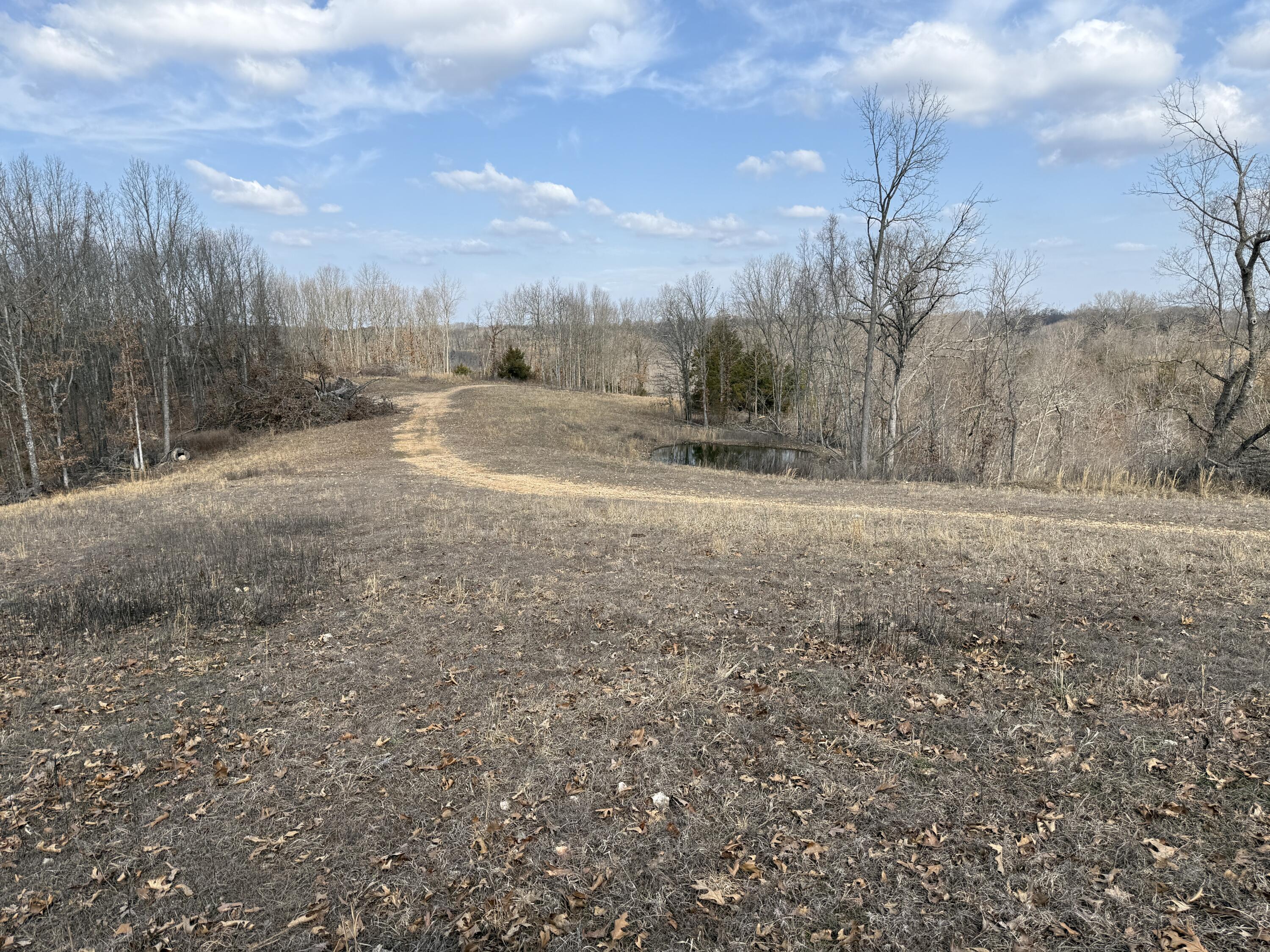 1006 Skaggs Hollow Road Property Photo 28