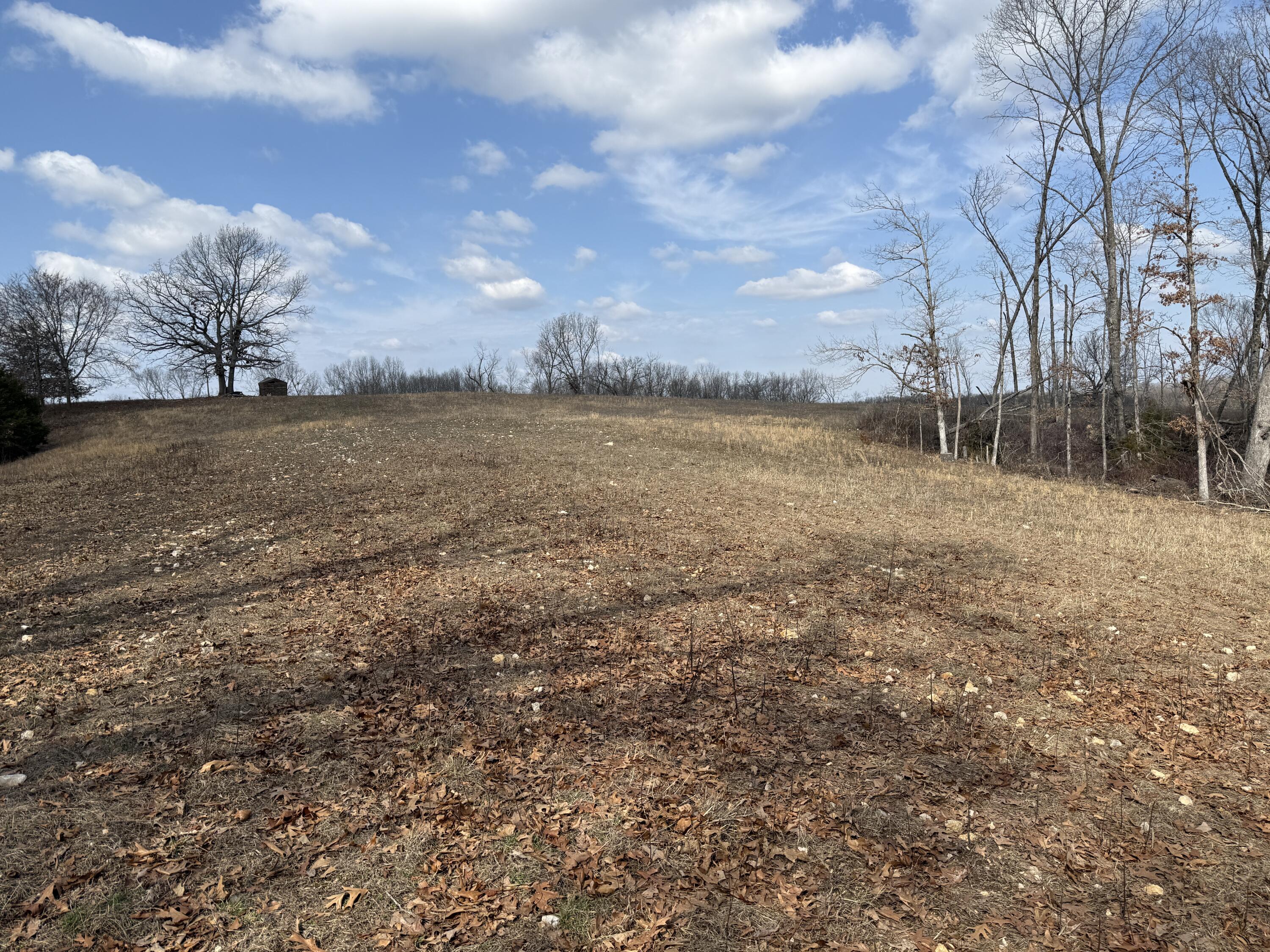 1006 Skaggs Hollow Road Property Photo 29