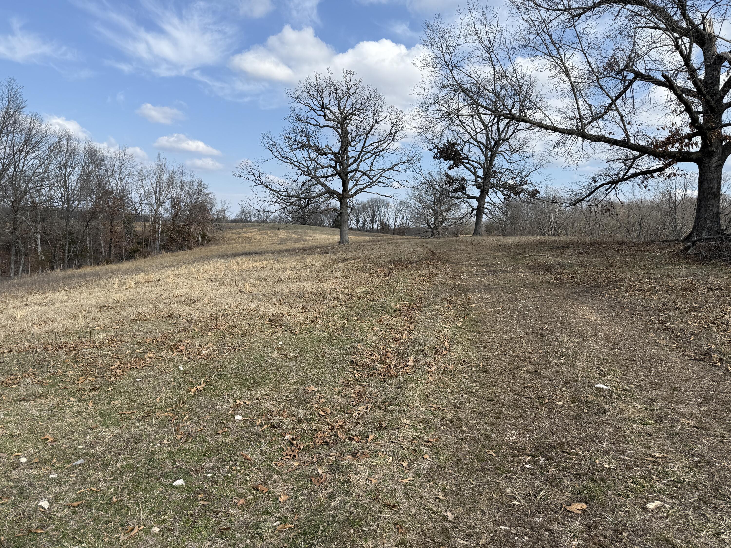 1006 Skaggs Hollow Road Property Photo 30
